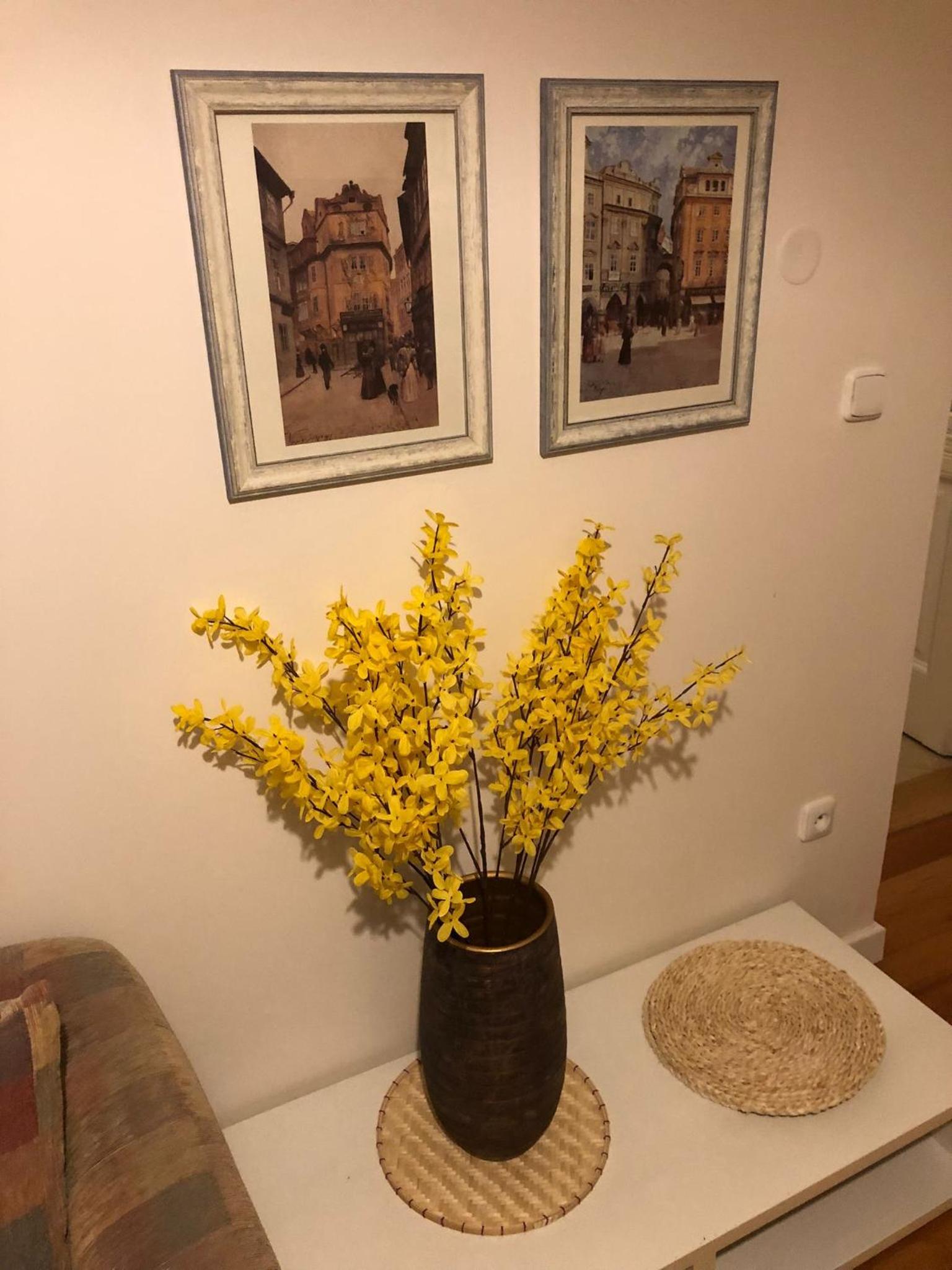 Prague Apartment JanLouis