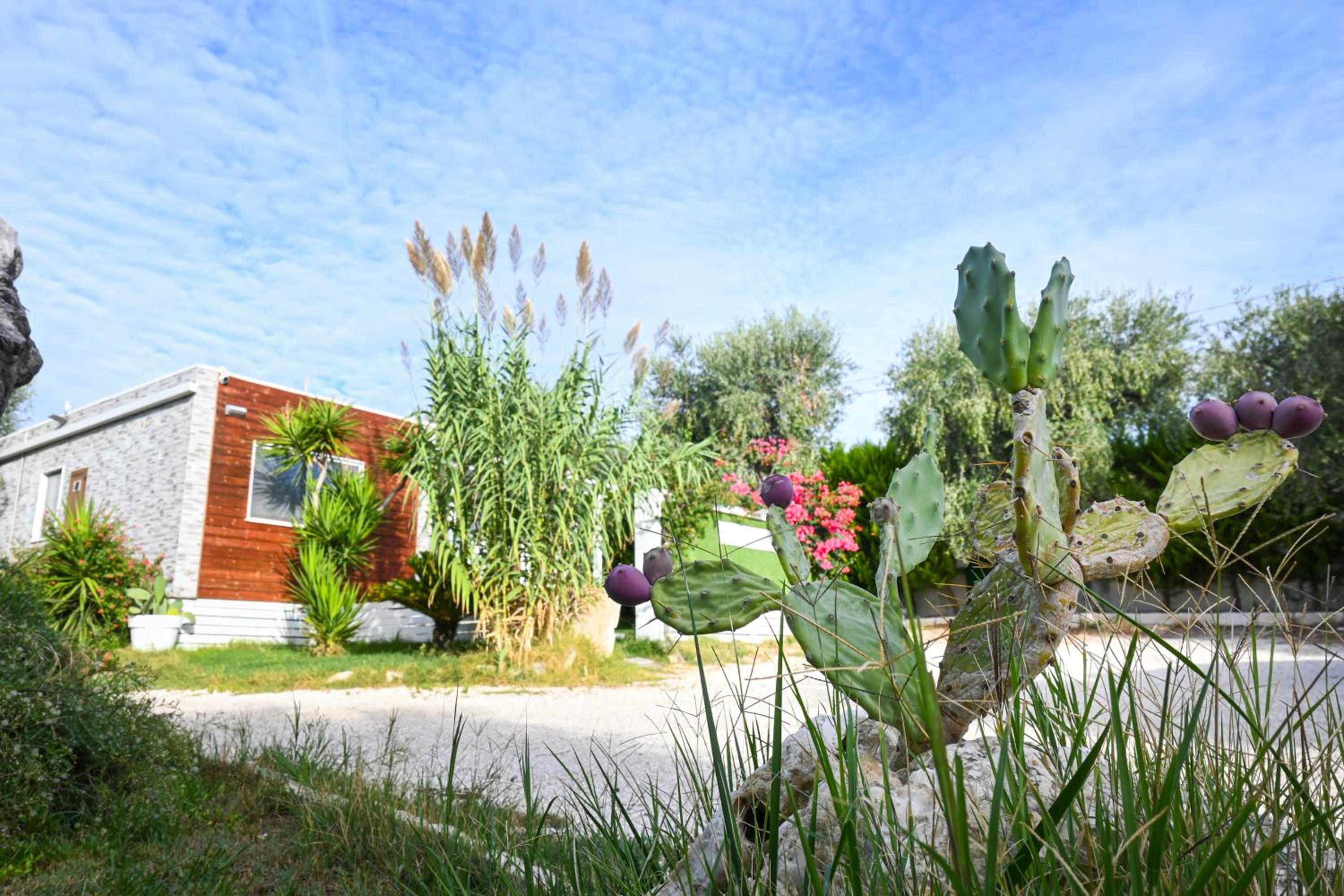 Giardino Don Berardino
