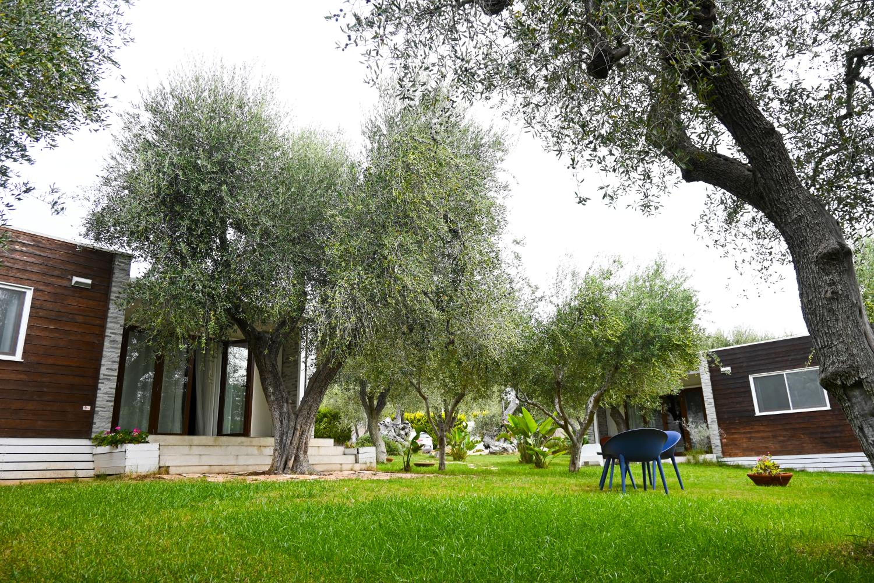 Giardino Don Berardino