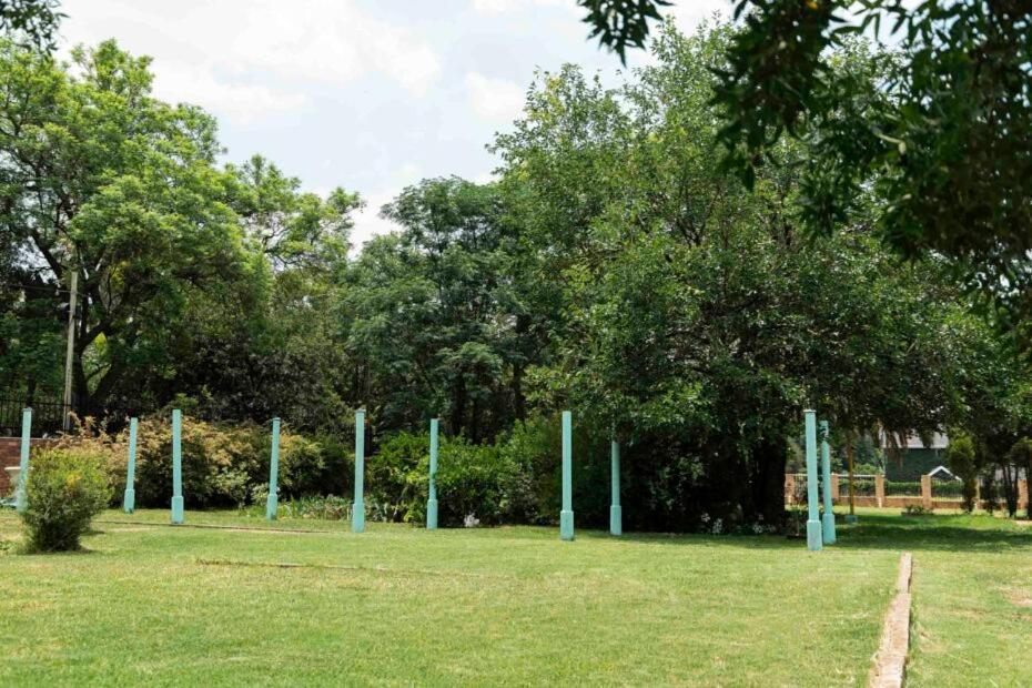 The Salvage Garden view 4