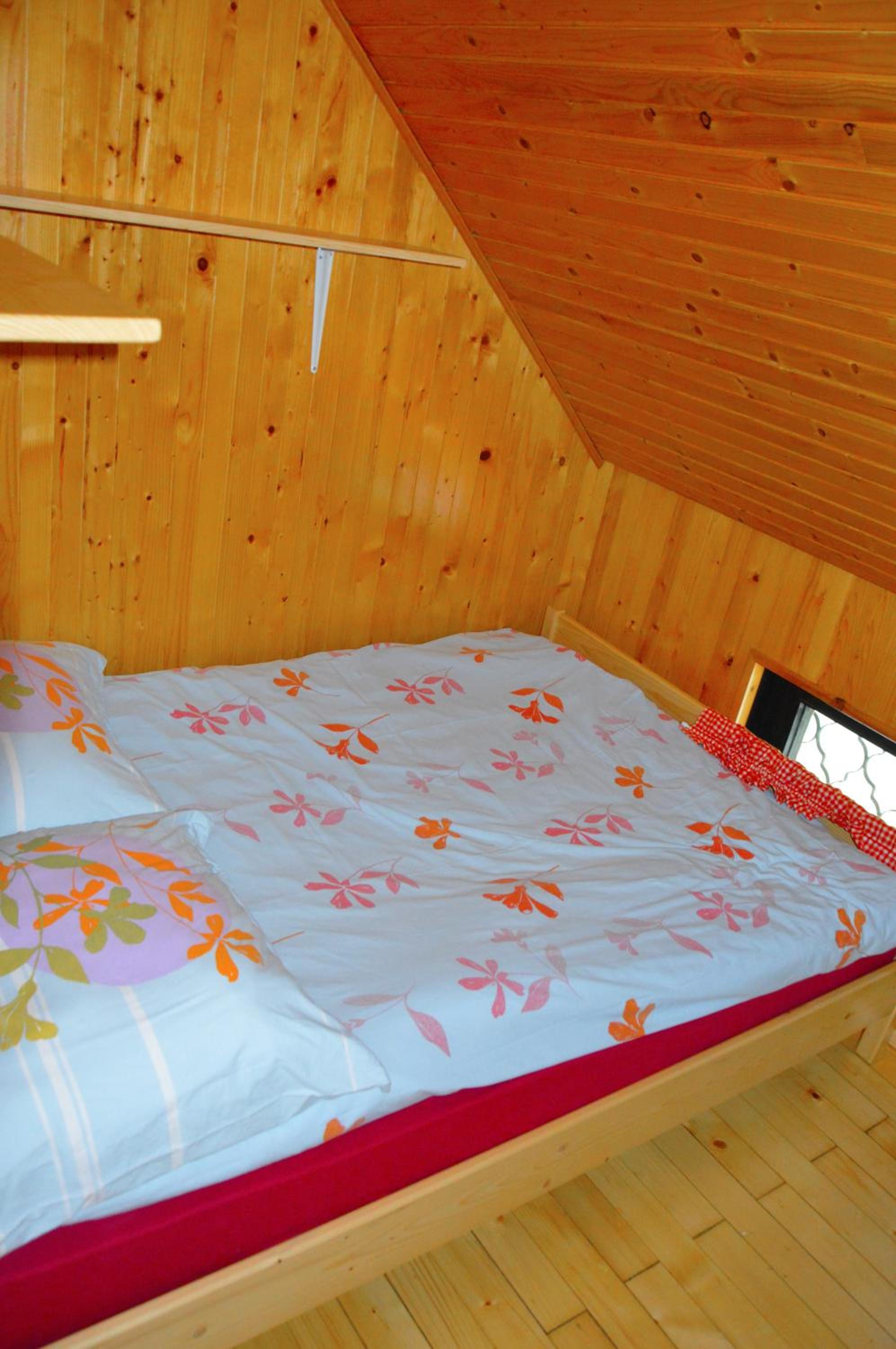 Brunarica Petric - Bela krajina - Komarna vas - Smučišče Gače - Semič view 4