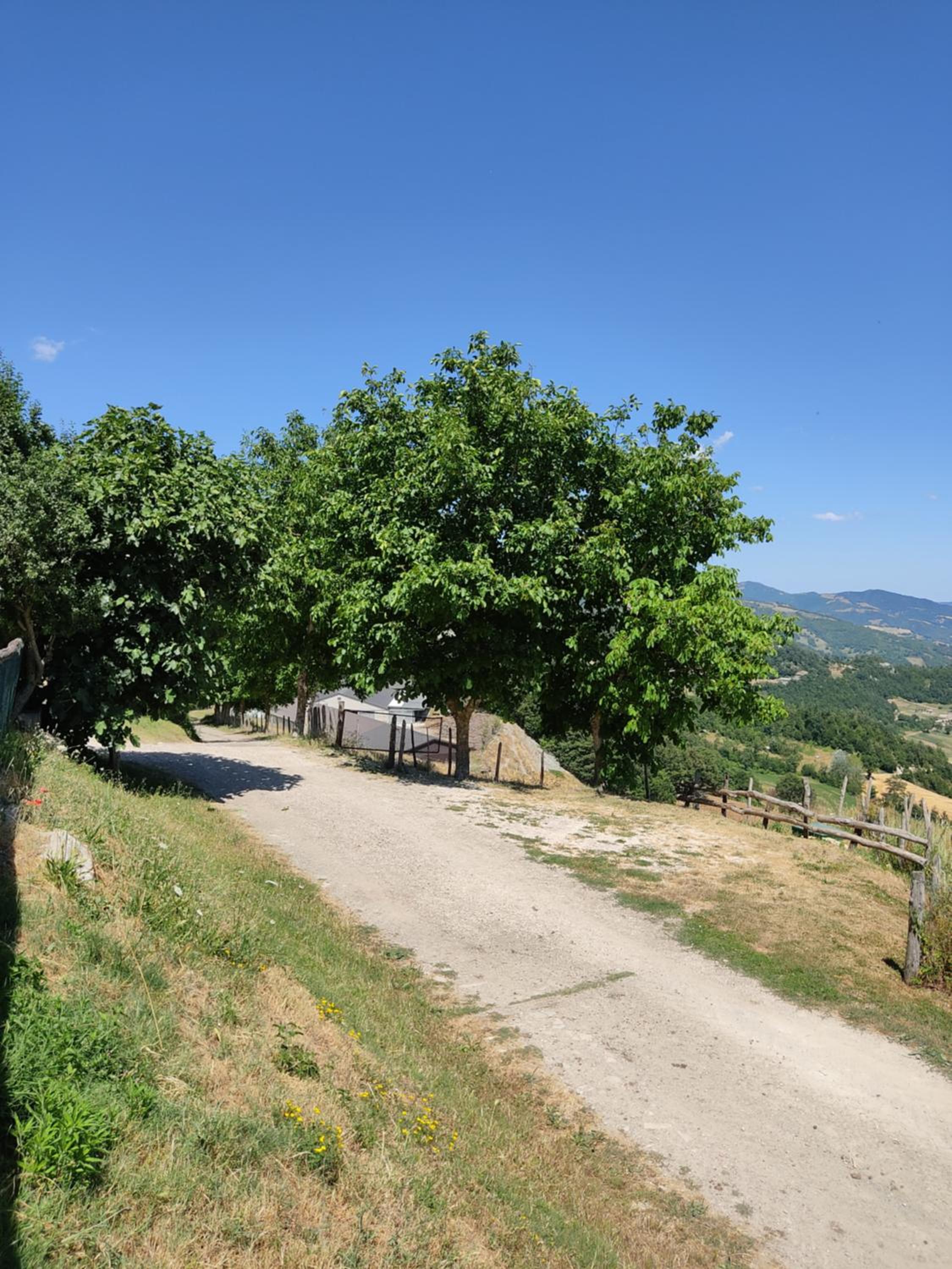 Agriturismo al Monte