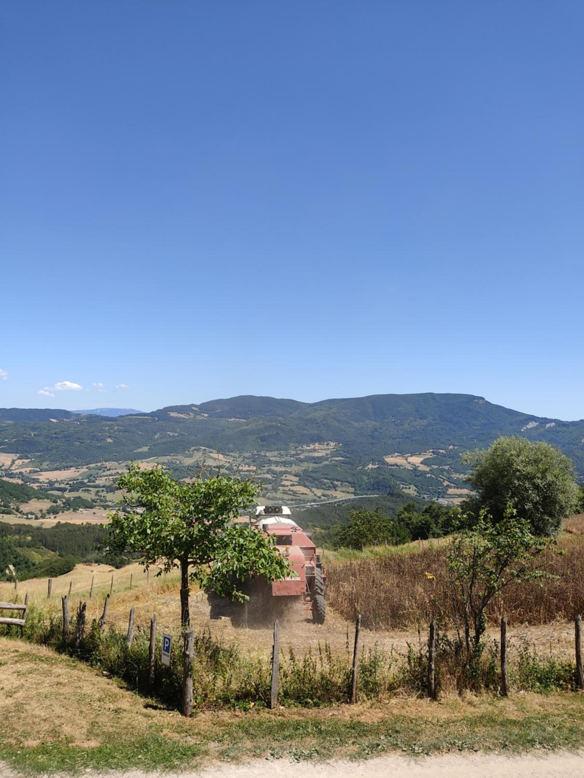 Agriturismo al Monte