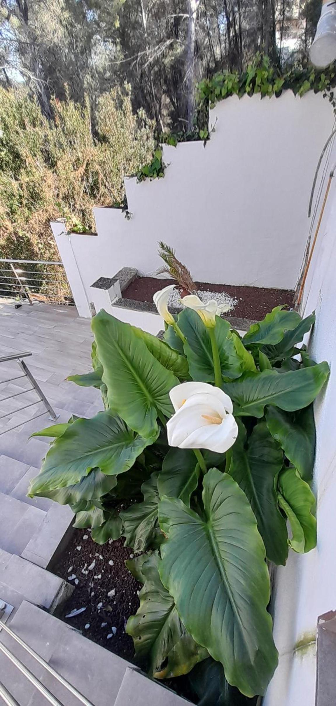Villa Avril Elegante villa para familias y grupos cerca de Sitges 7 dormitorios Piscina privada XXL