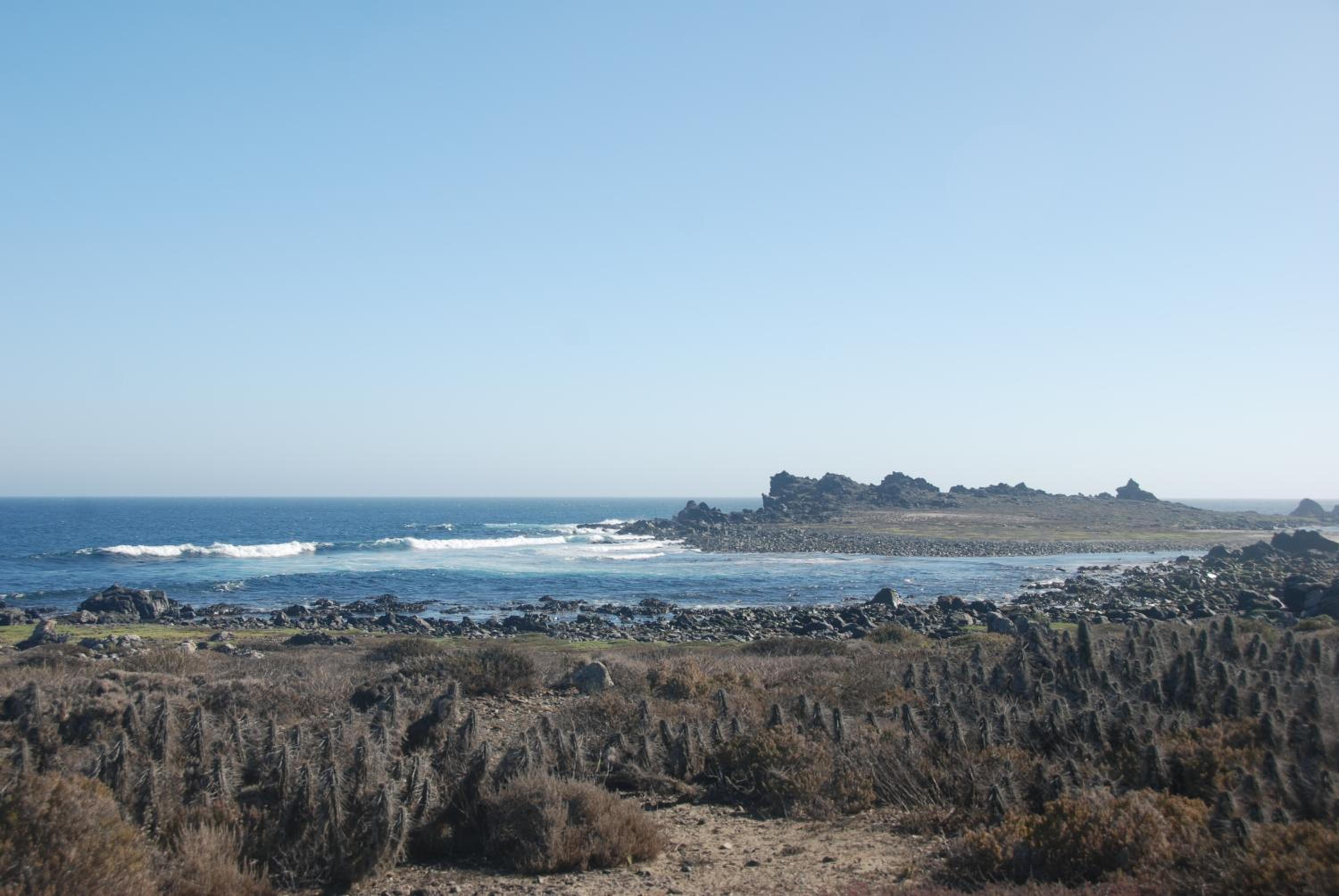 Cabanas Las Hualas