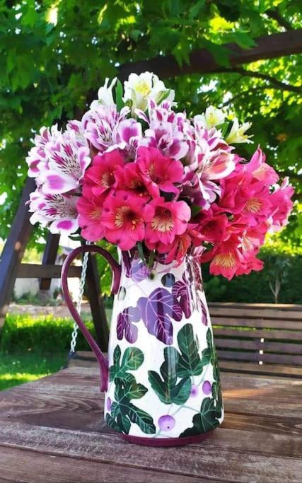 Zeusplace Olympus Riviera Villa 1 photo 5