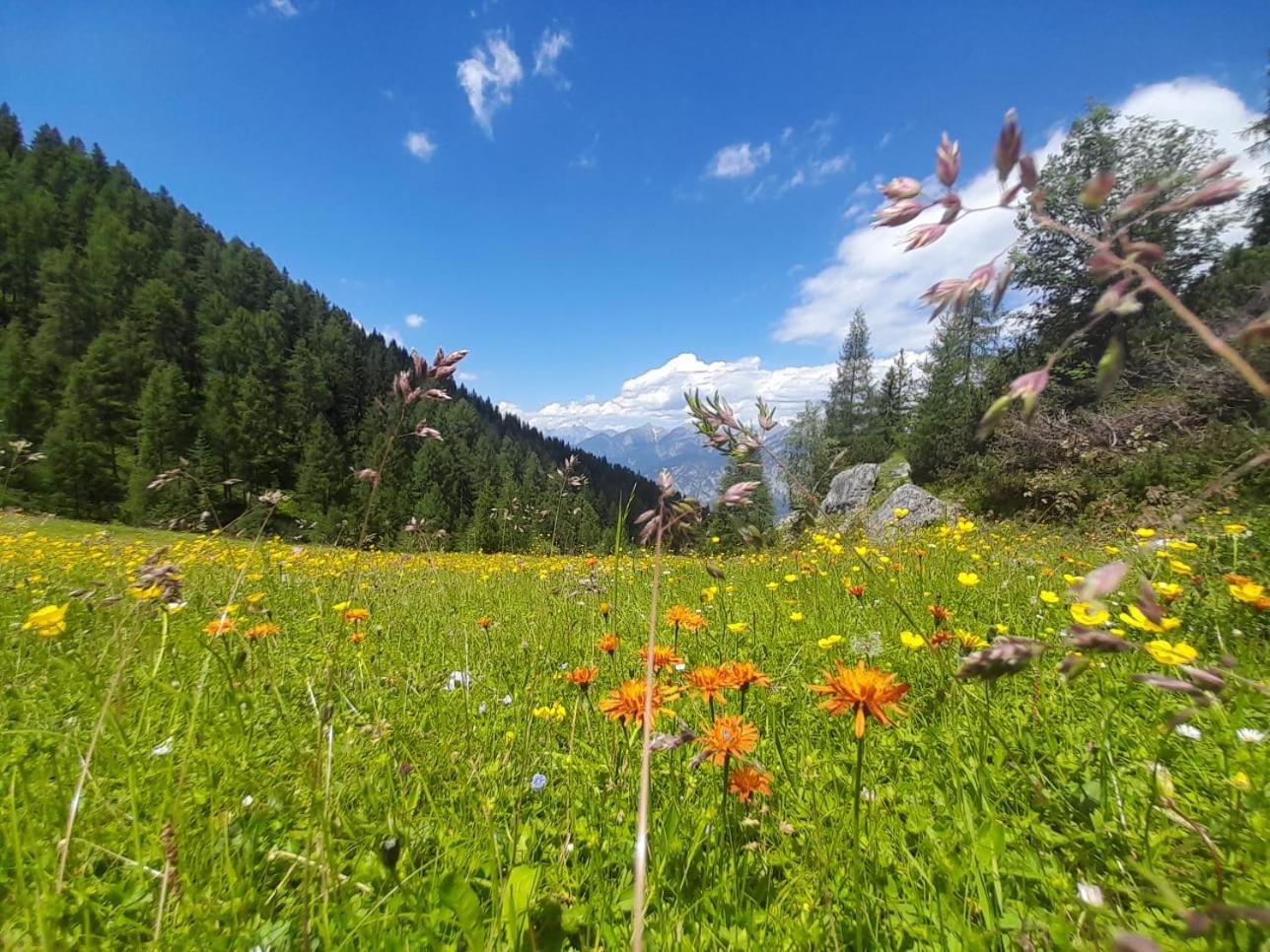 Ferienwohnung Götzner Auszeit