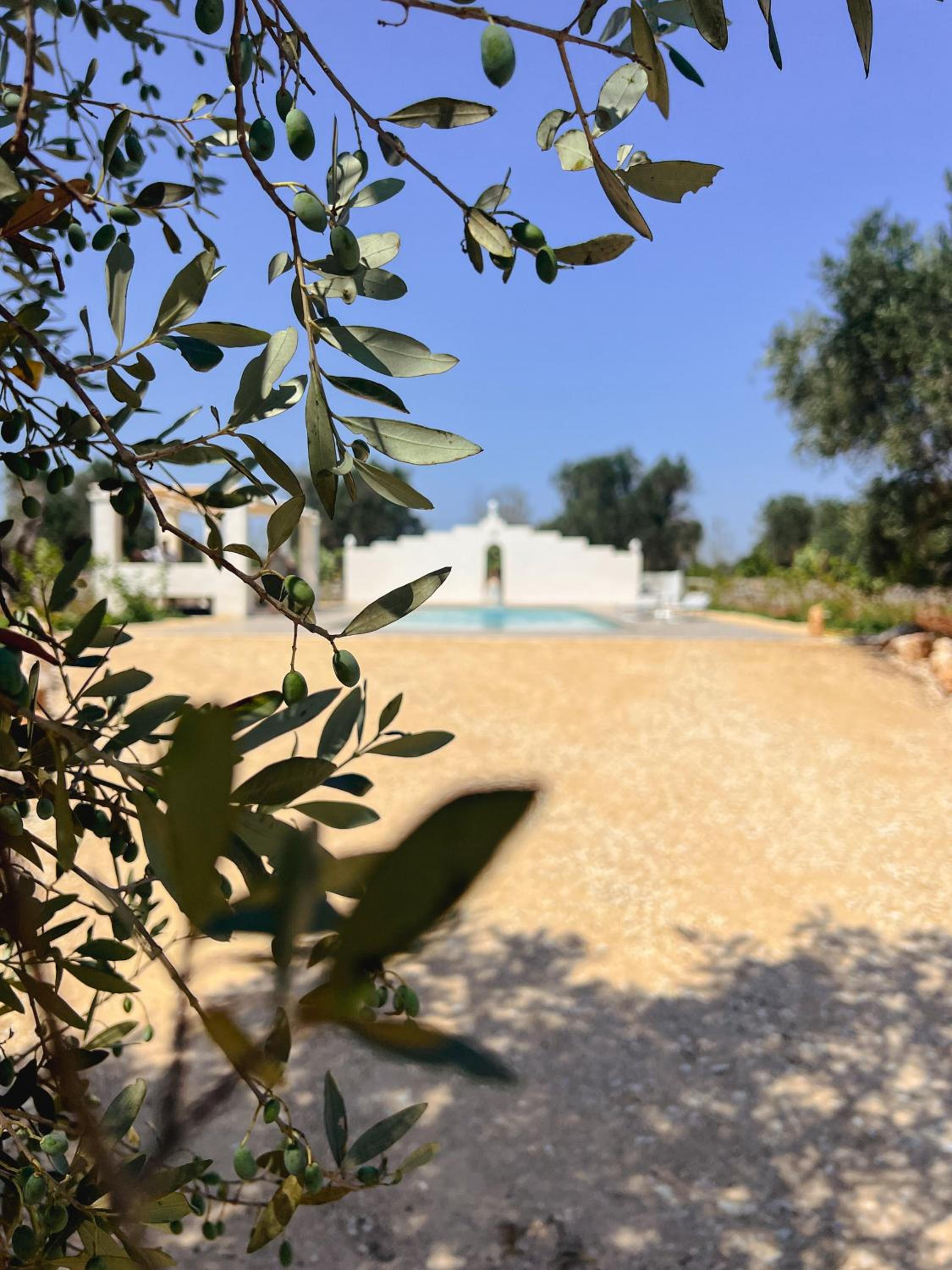 Masseria Cortese