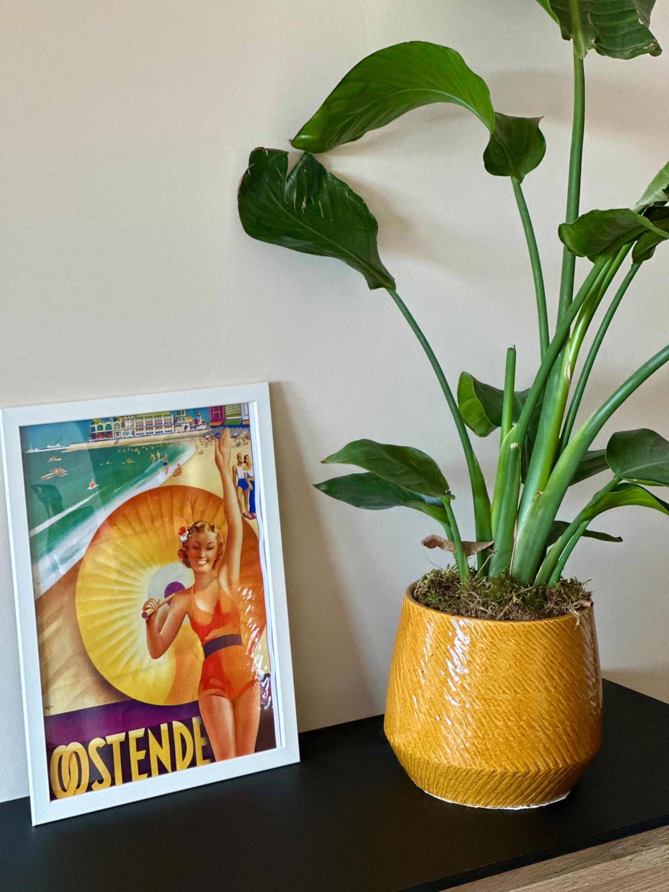 Studio By Aimee - 20m from the beach & in city centre!