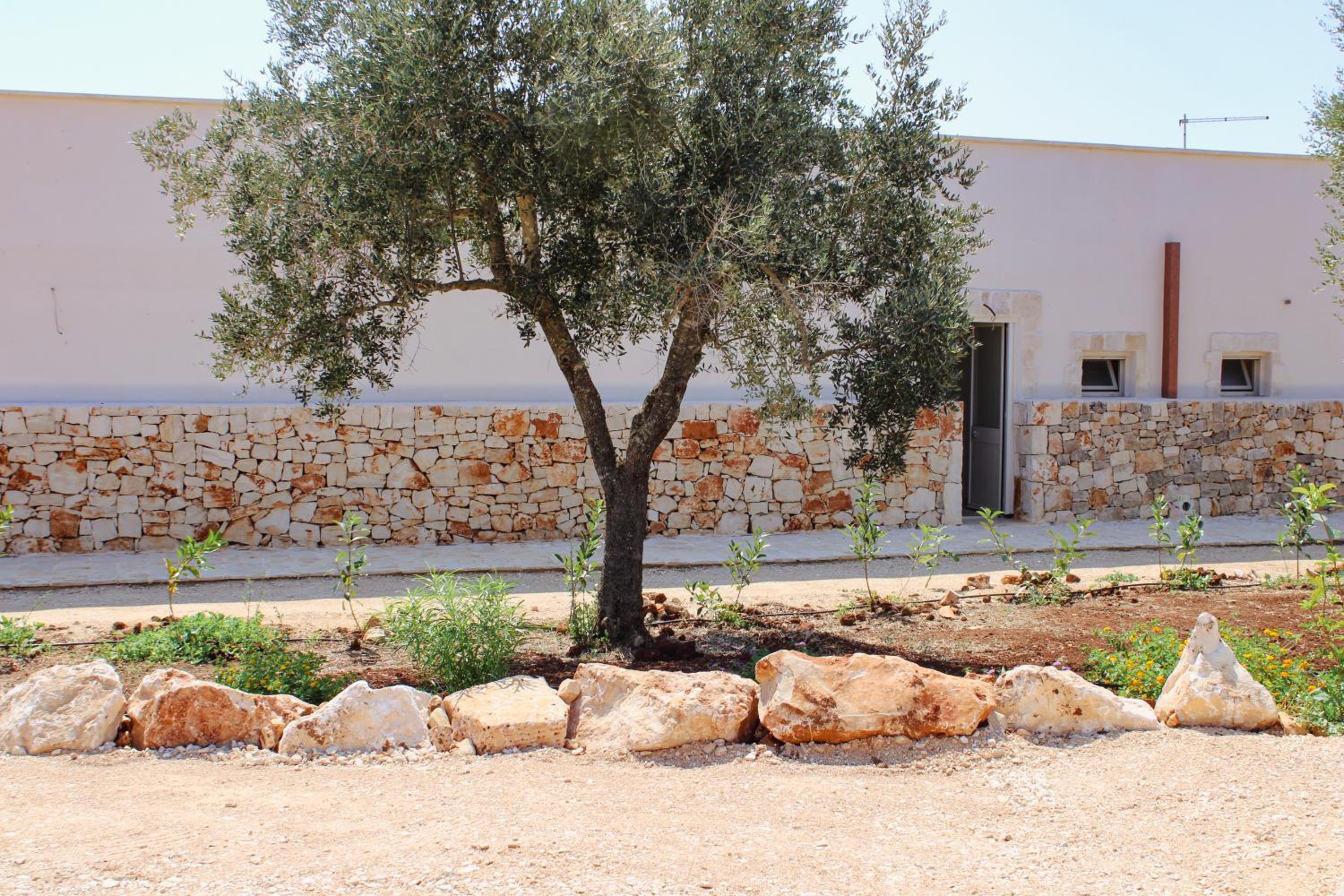 Masseria Cortese