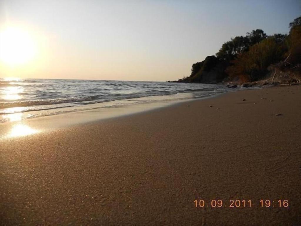 Photo 49