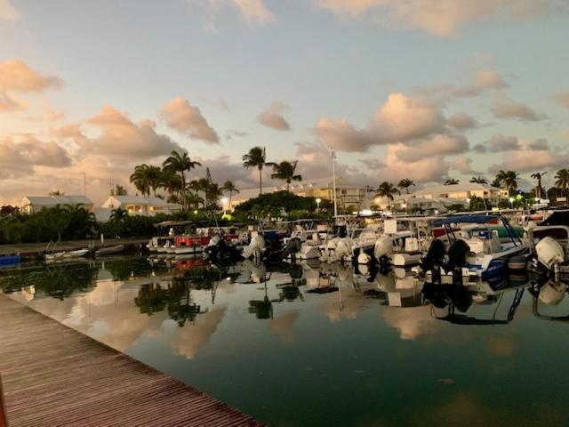 Studio Marina Albatros