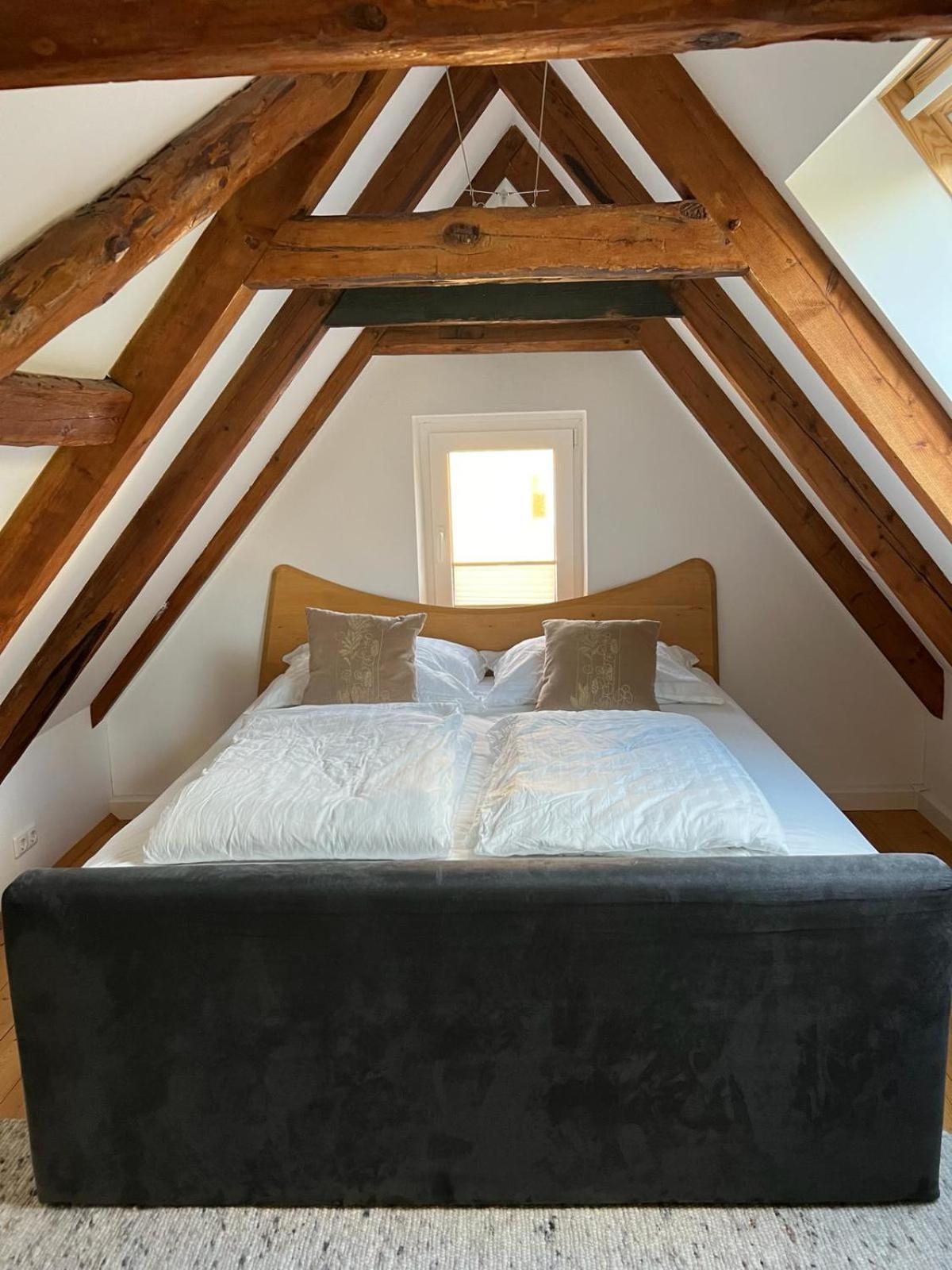 Haus am Berzdorfer See - 3 Schlafzimmer - ganzes Haus zur Alleinnutzung - Terrasse - hochwertige Ausstattung