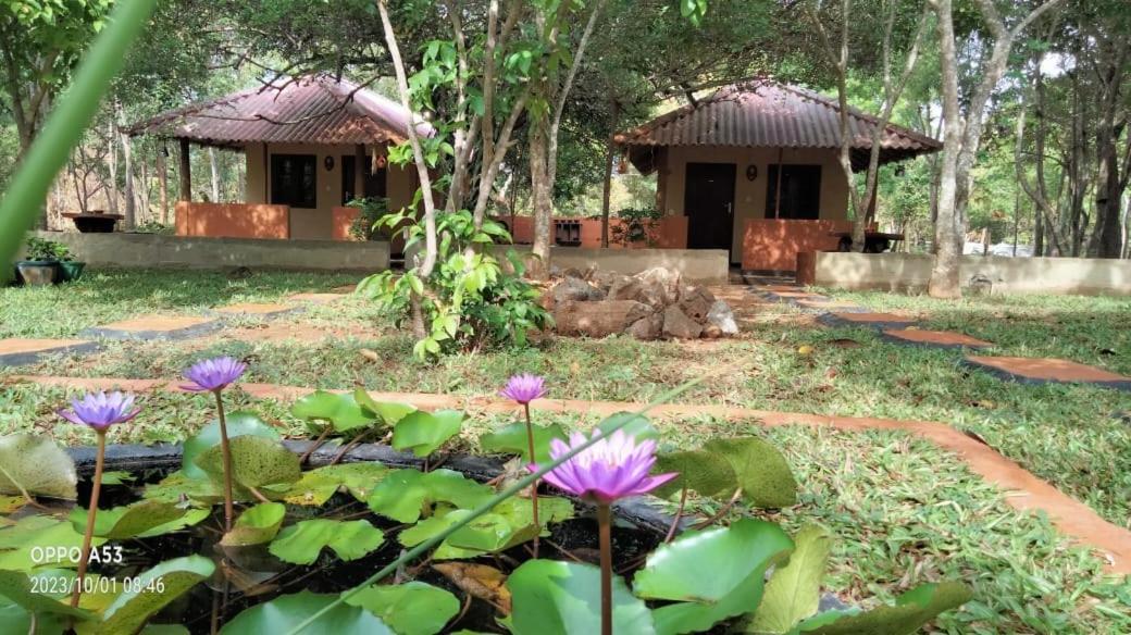 Hotel Niyagala Lodge Sigiriya