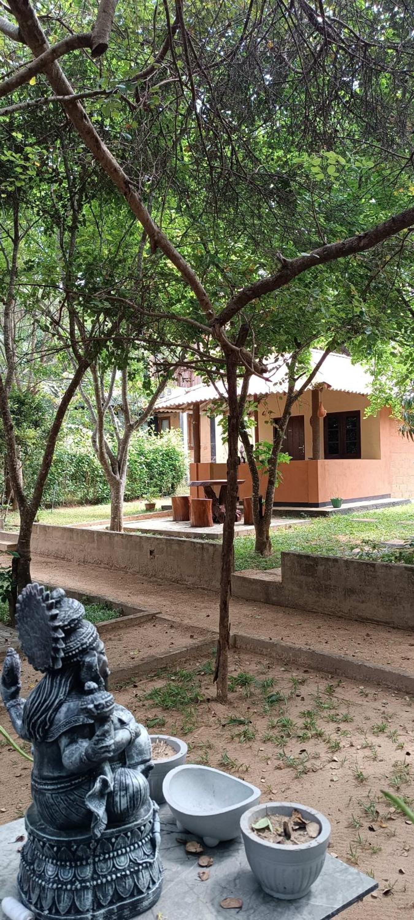 Hotel Niyagala Lodge Sigiriya