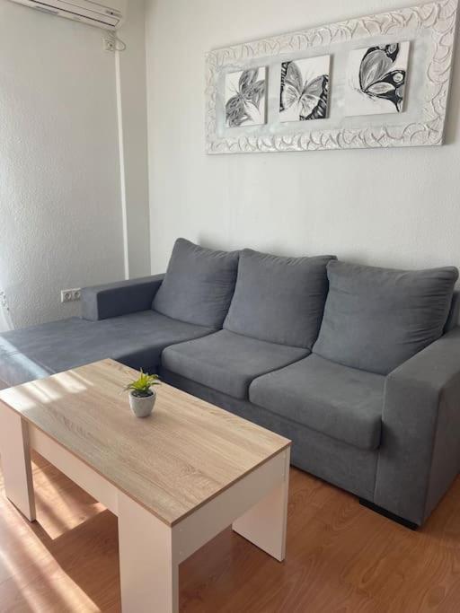 Apartamento el pocito