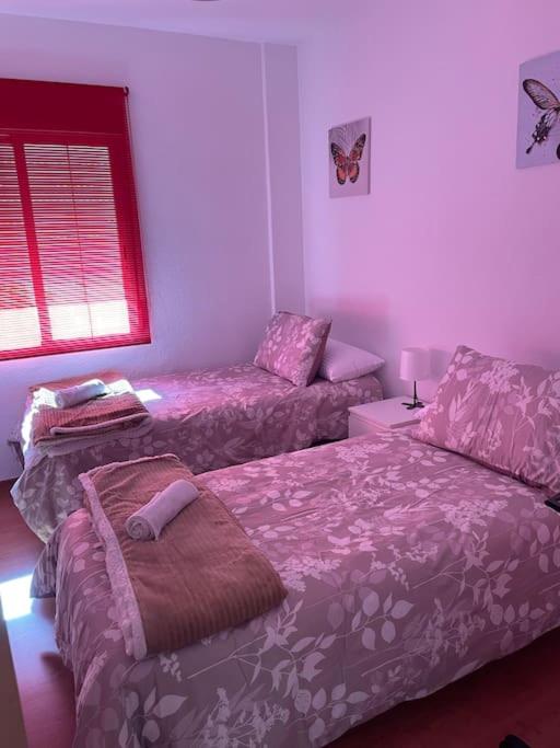 Apartamento el pocito