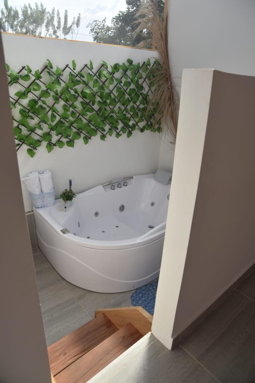 Eco Cabañas Montana