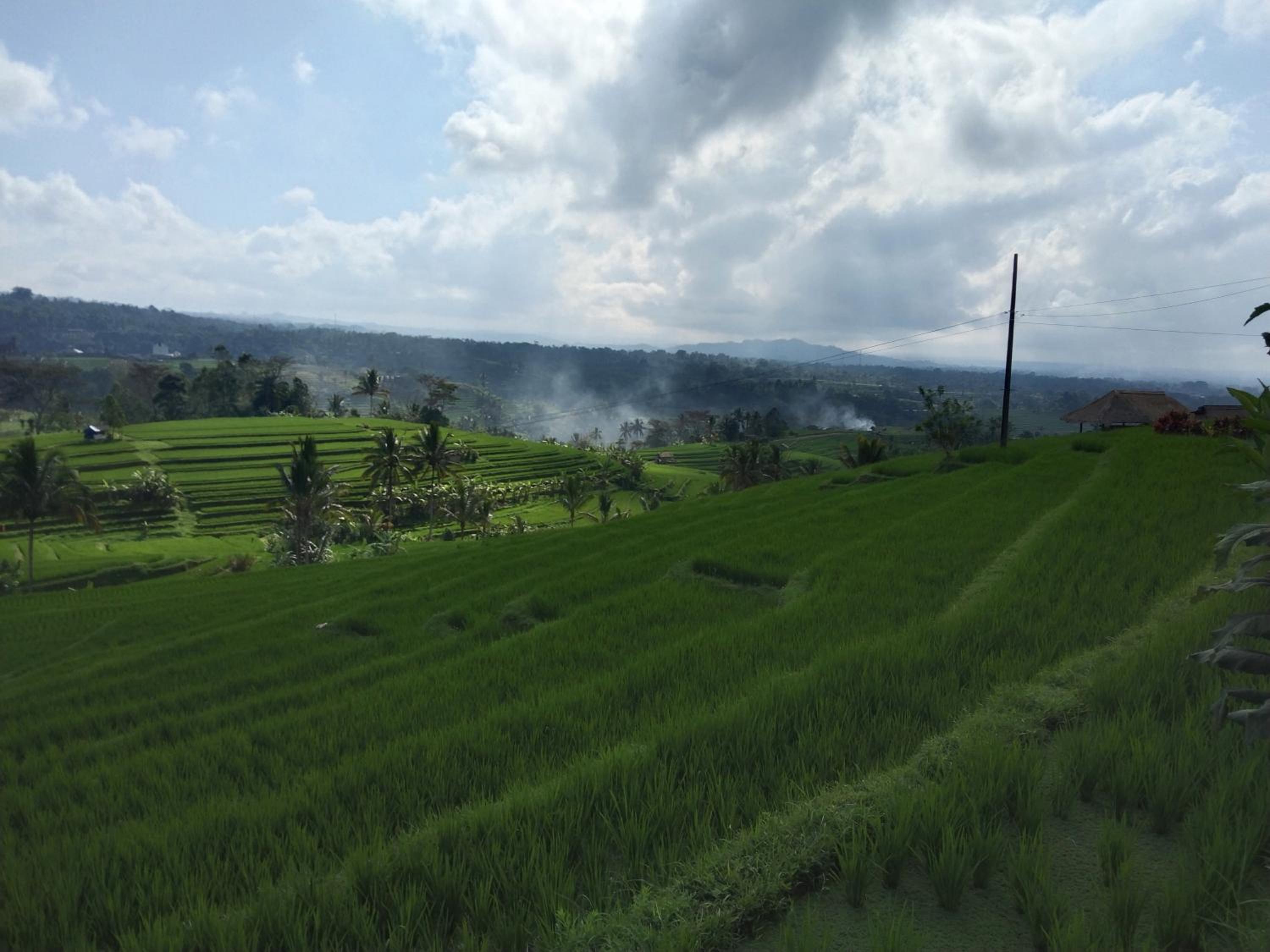 Trinadhi Homestay