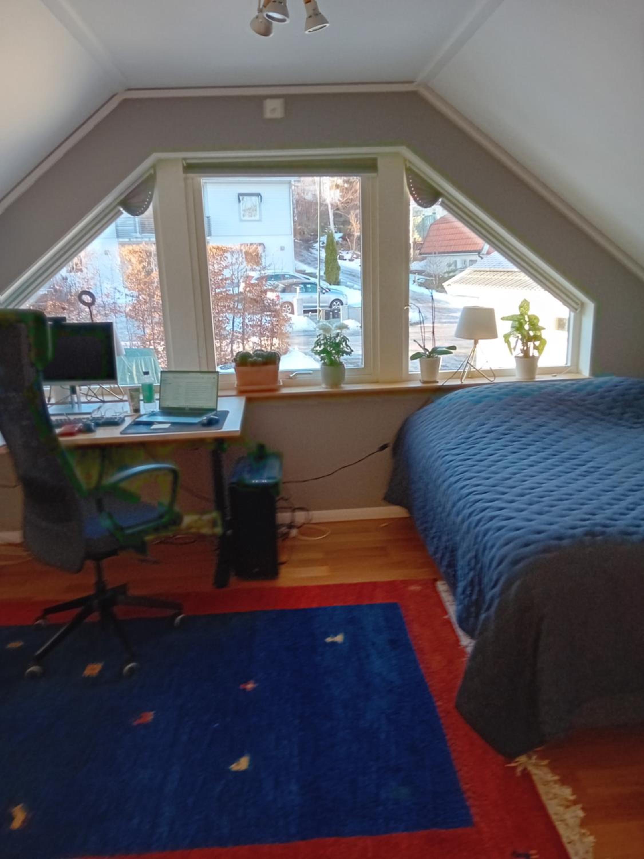 Photo 8