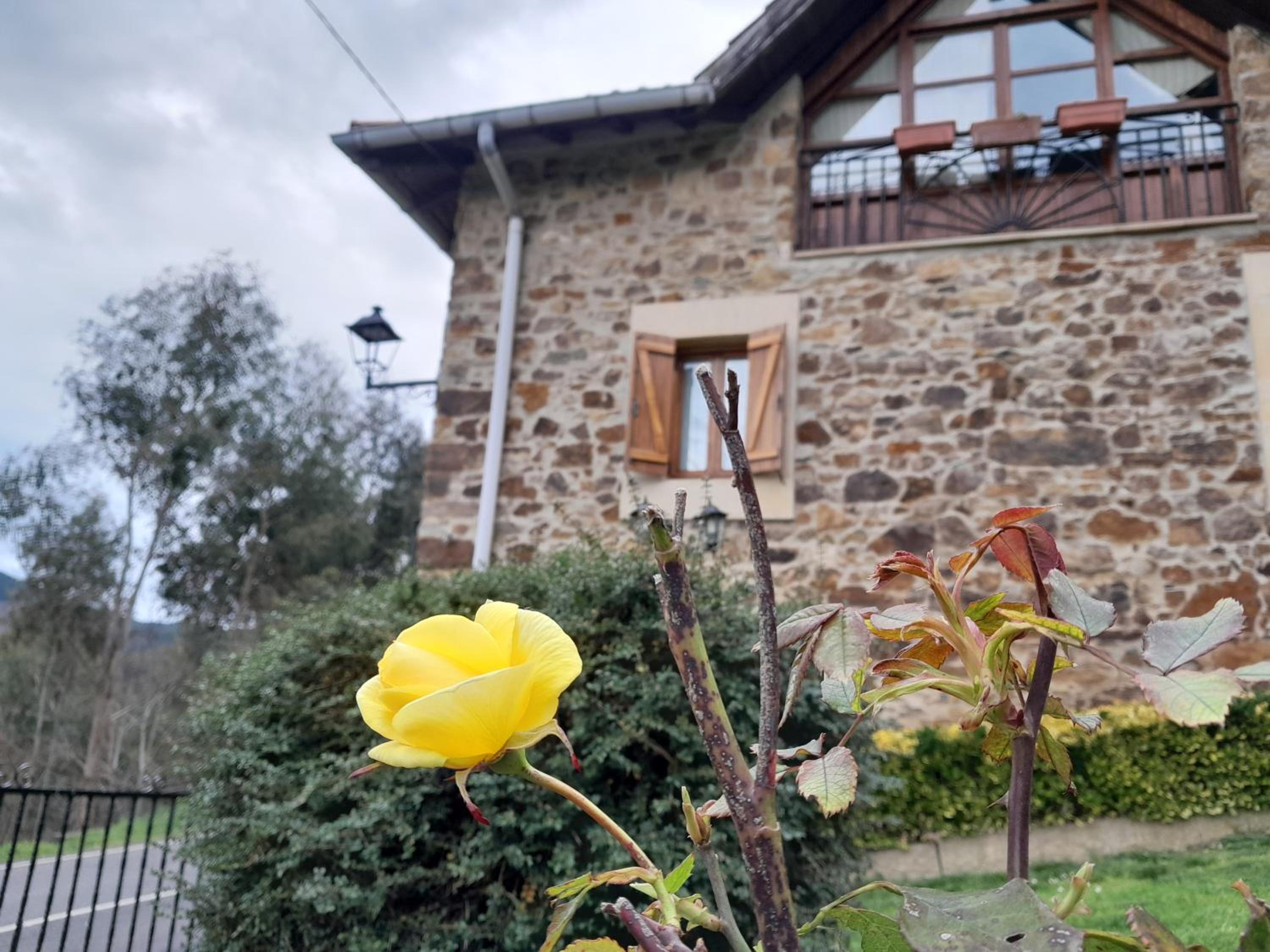 Urrezko Ametsa