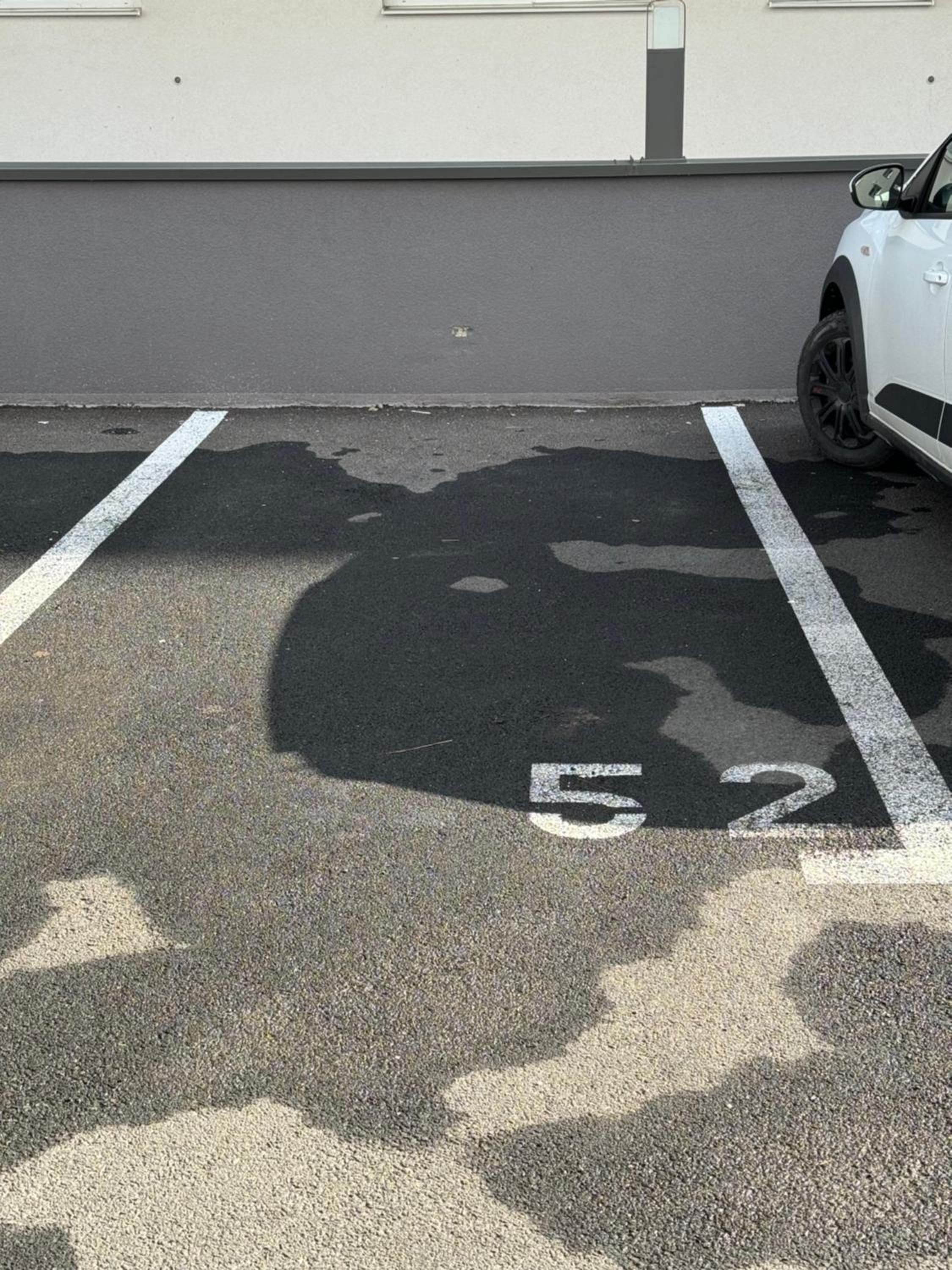 BLACK APARTAMENT