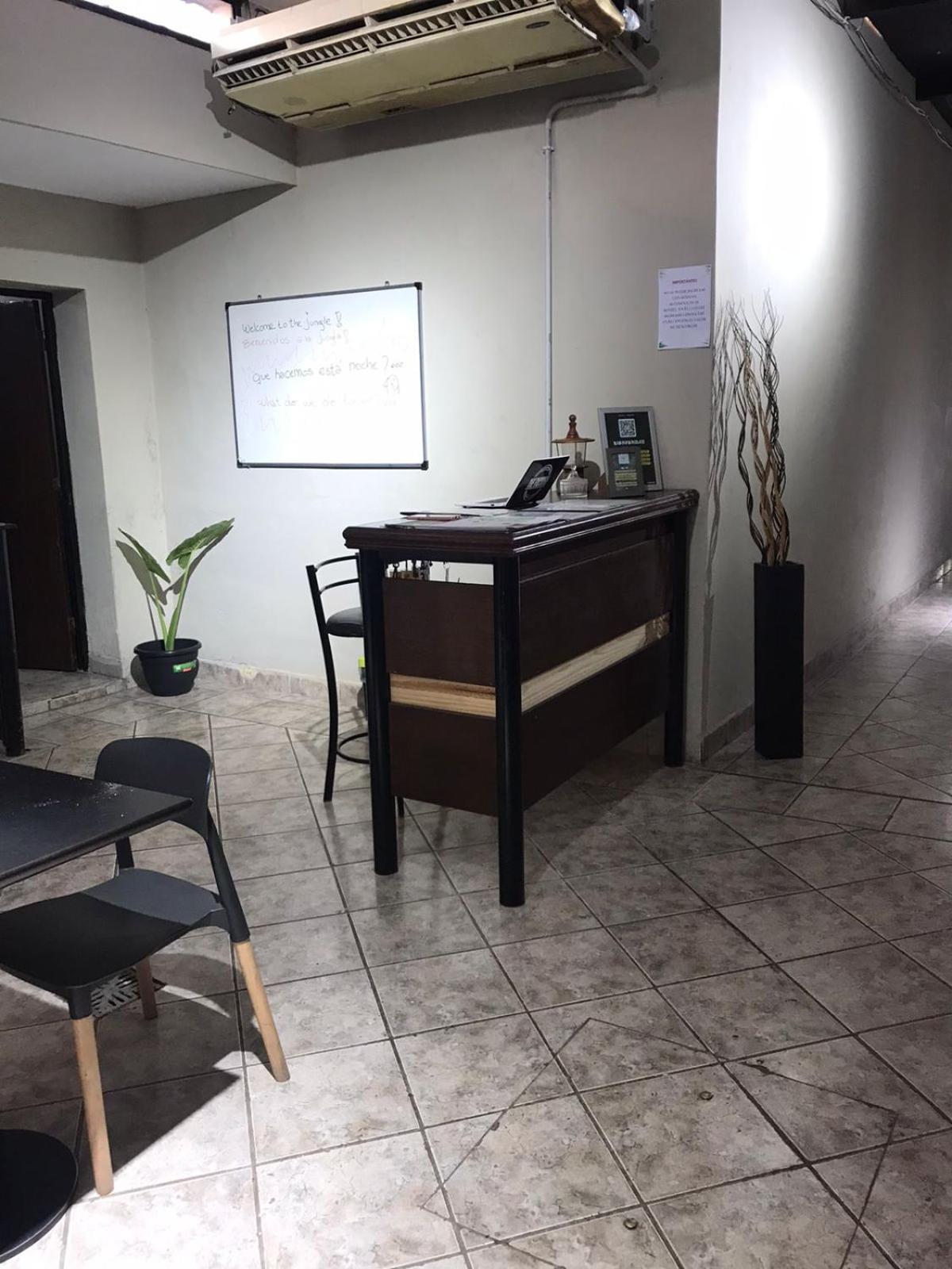 Urban Jungle Hostel