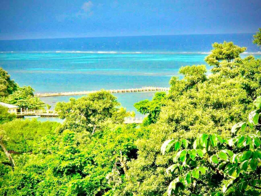 Casa Café Roatan, Honduras