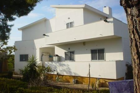 Photo 21