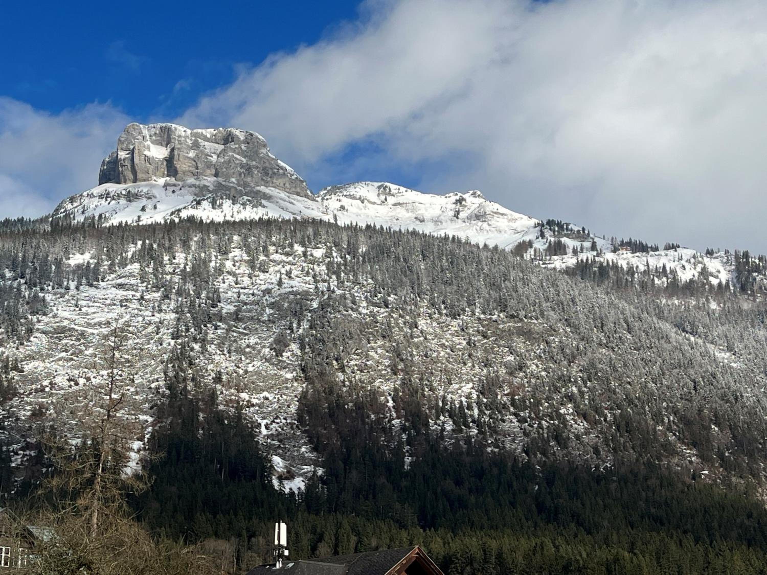 Haus Frey