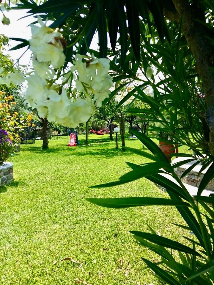 Villa Marianna-Nina Holidays view 4