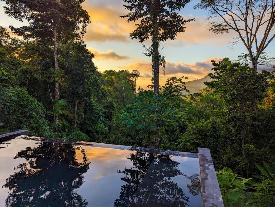 Casa Zorro