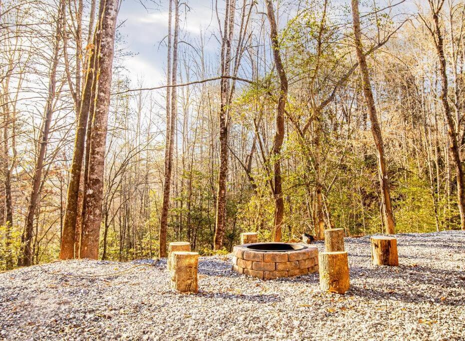 Helen's Hideaway-Wooded seclusion 1 mile to Deep Creek Smoky Mtn Park view 3