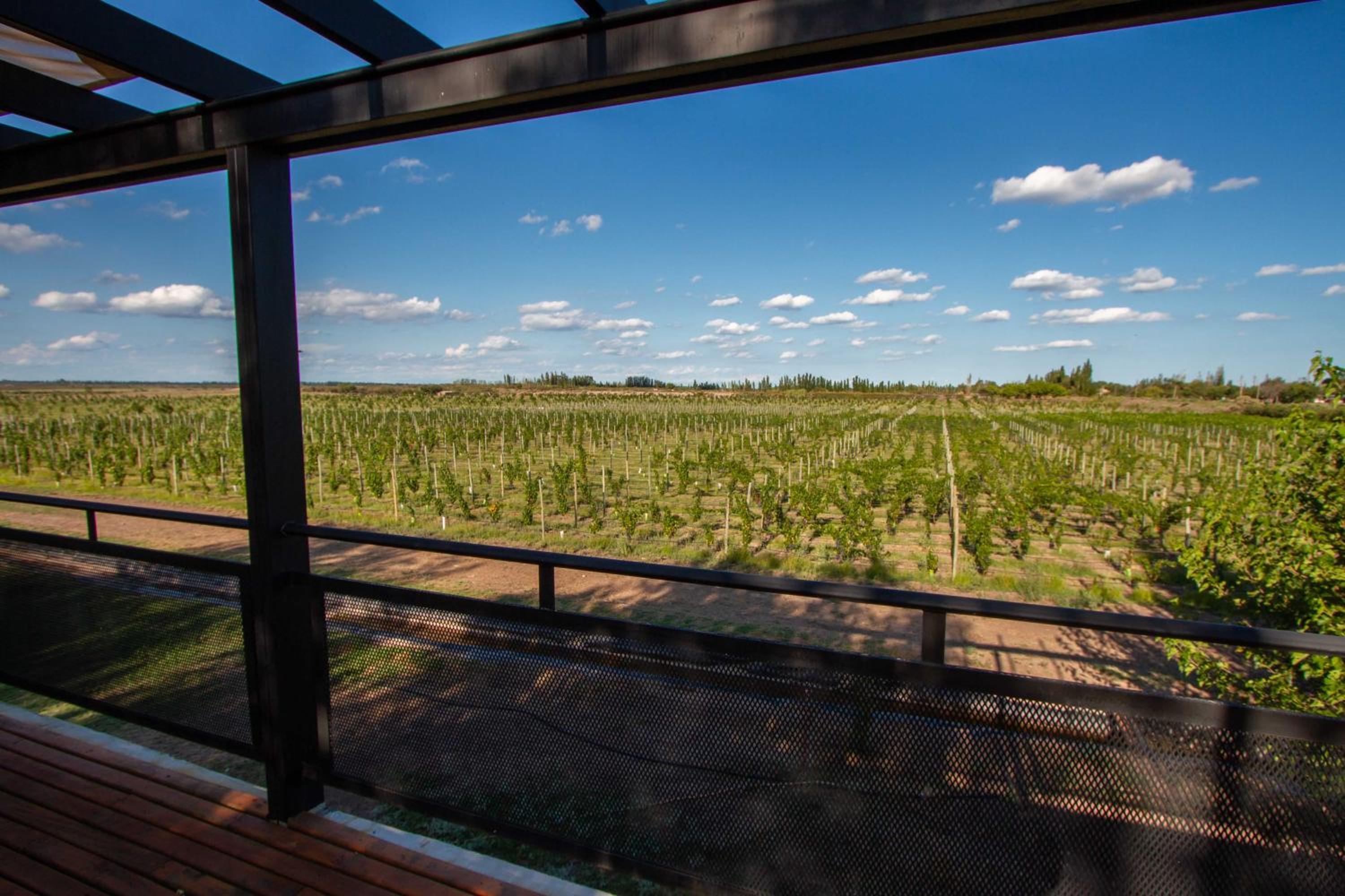 Finca Las Aromáticas, San Rafael