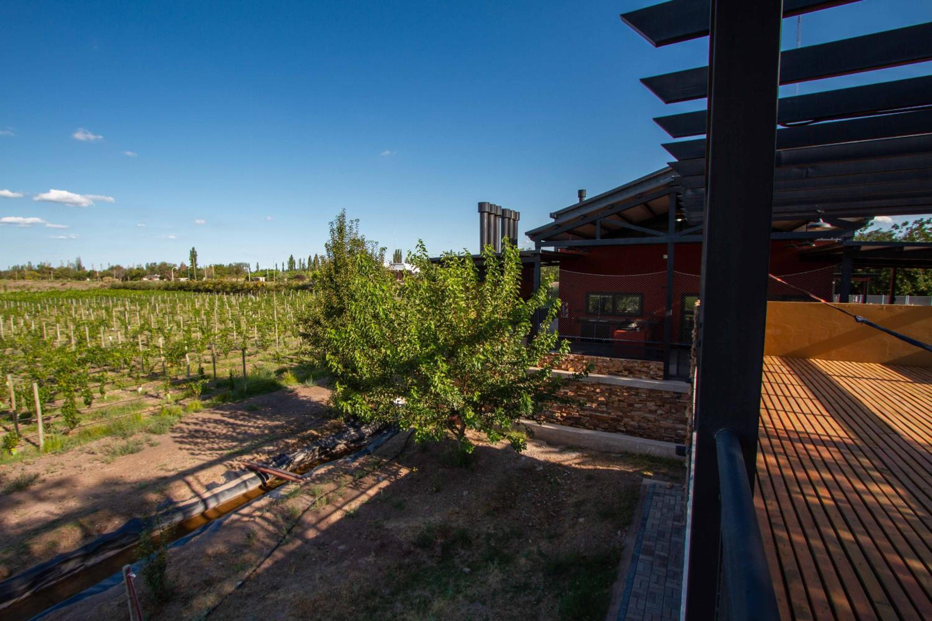Finca Las Aromáticas, San Rafael