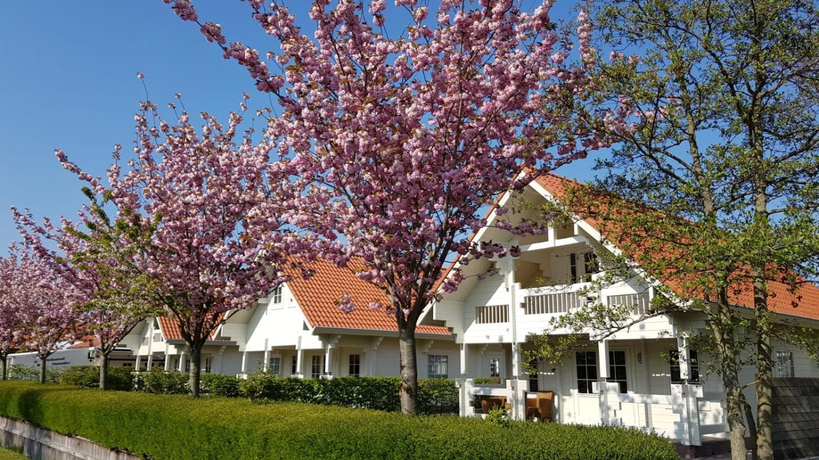 Holiday Park Dennenbos view 3