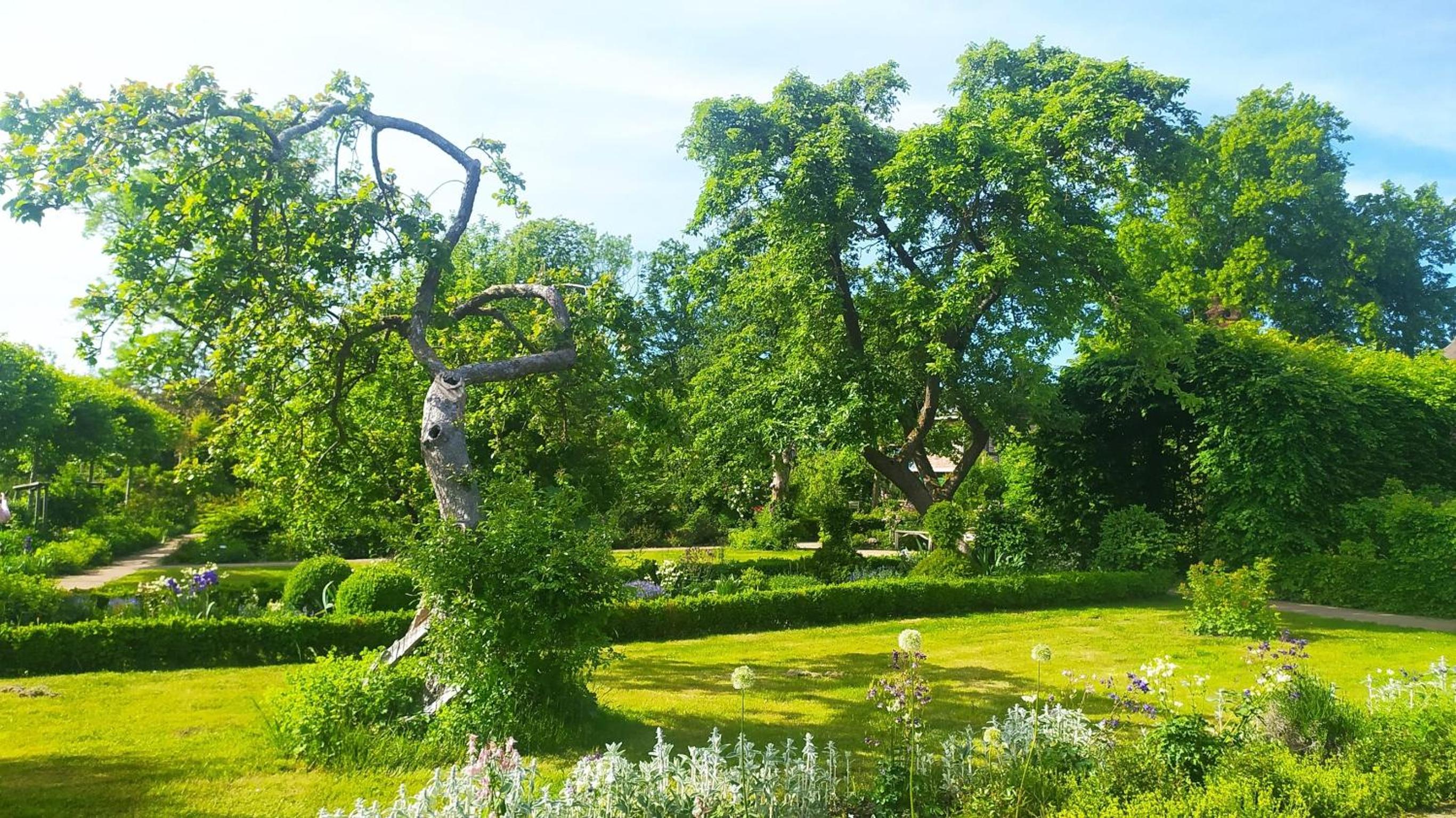 Ferienwohnung Irisgarten am Pfarrgarten Starkow