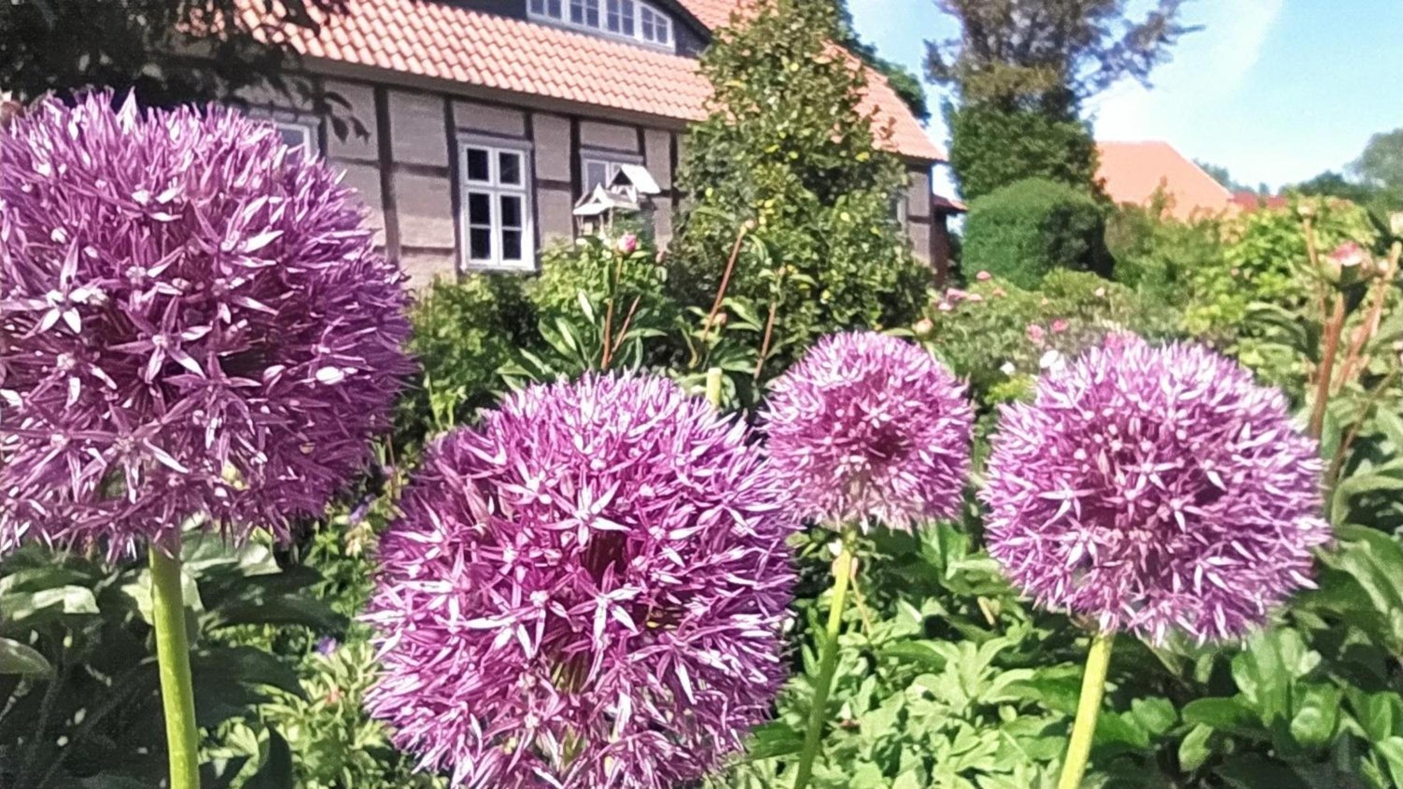 Ferienwohnung Irisgarten am Pfarrgarten Starkow