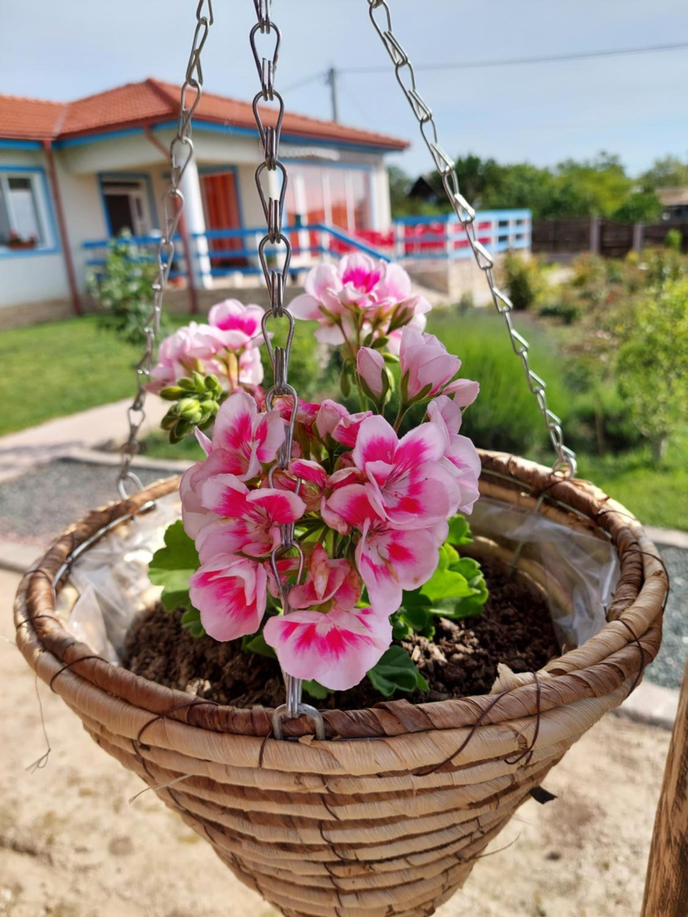 Casa de la Baltă view 4