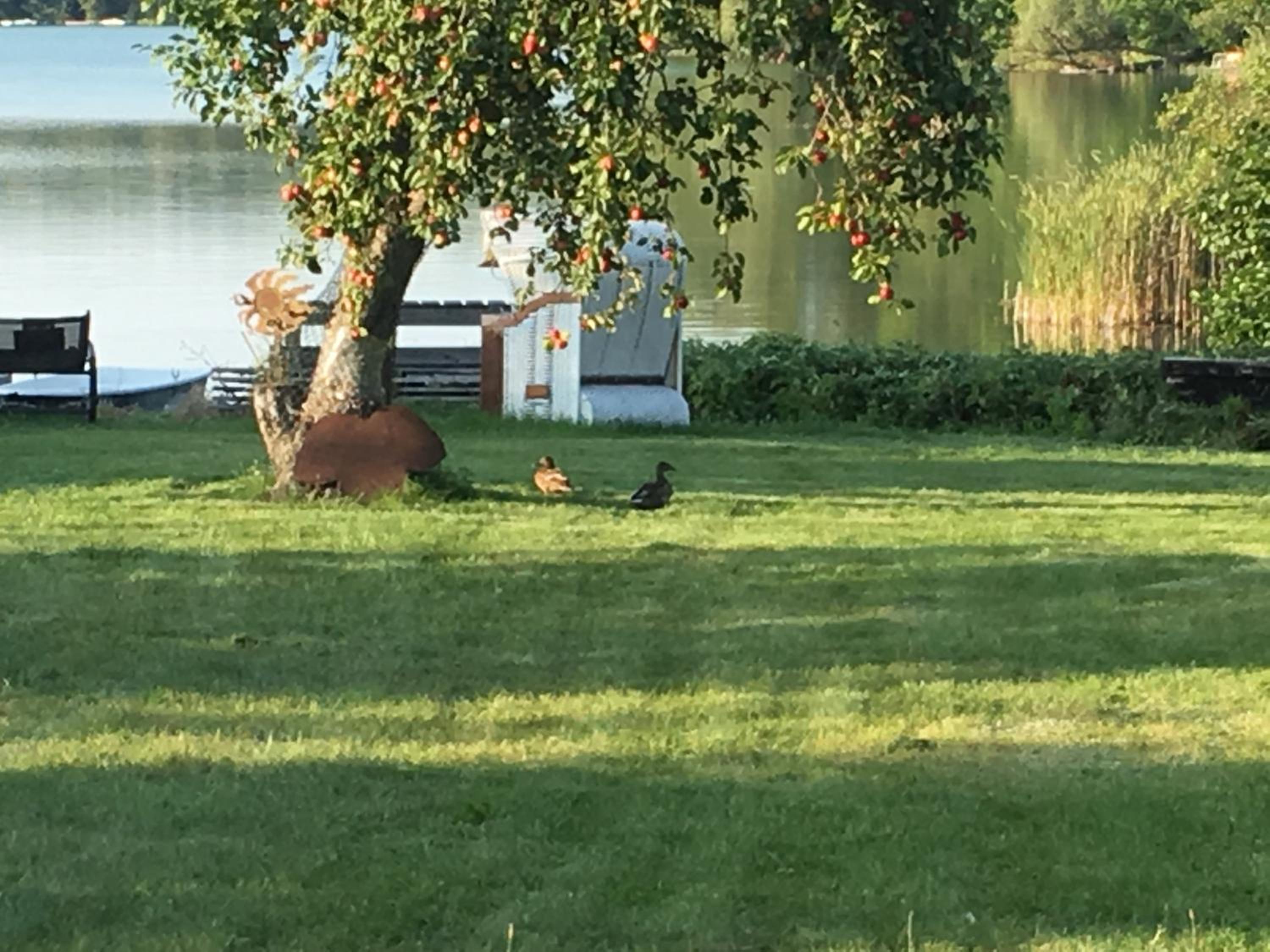 Forsthaus am See Lychen