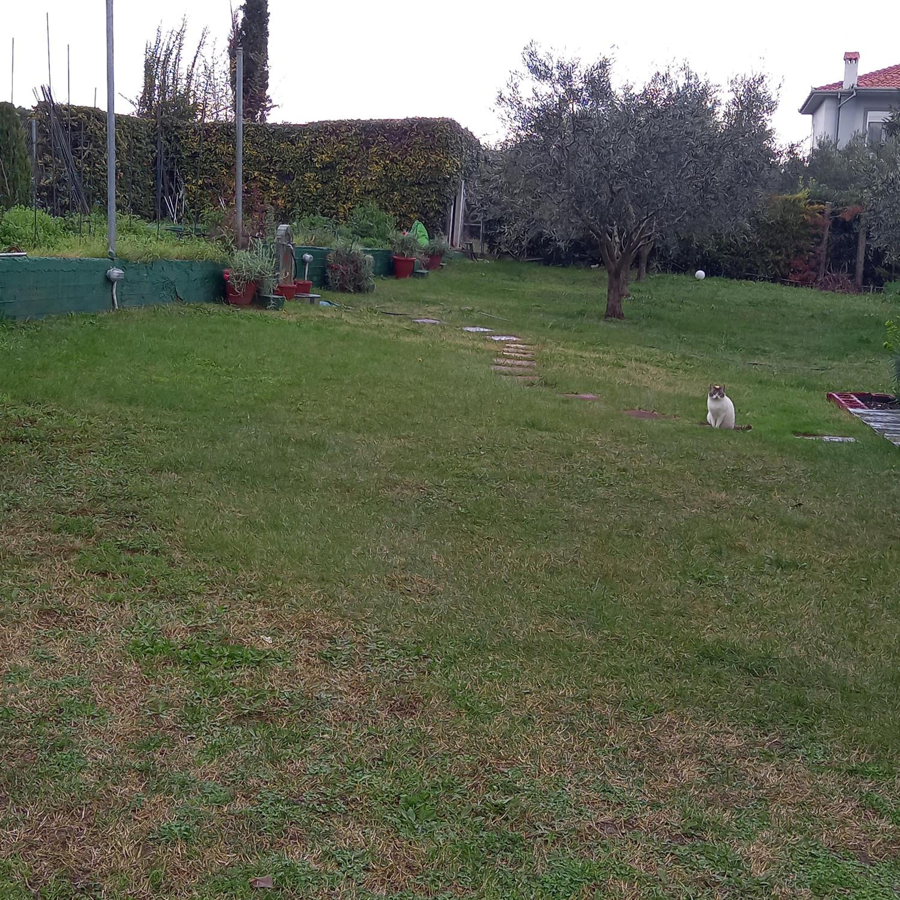 Photo 146