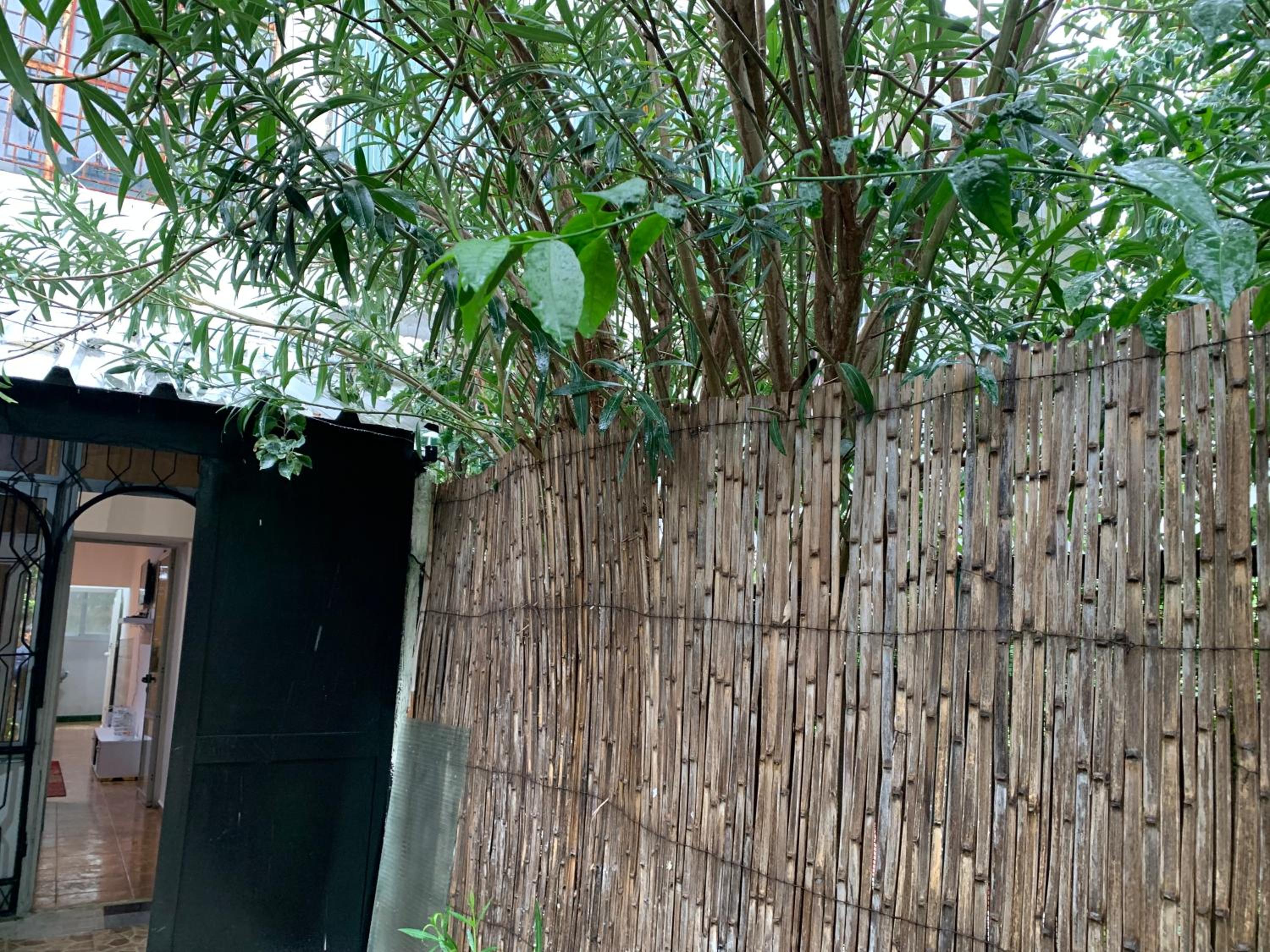 other