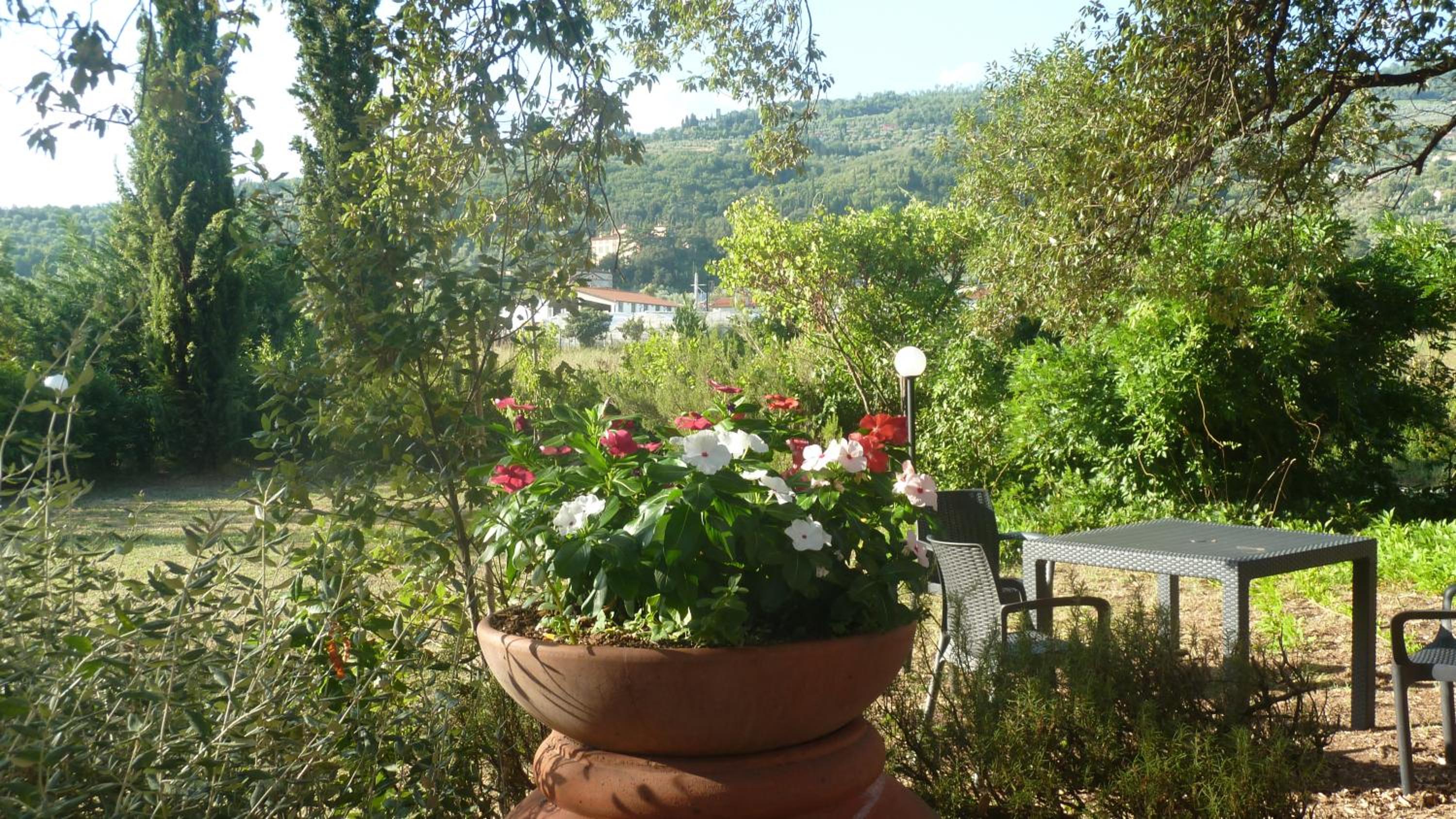 Photo 44