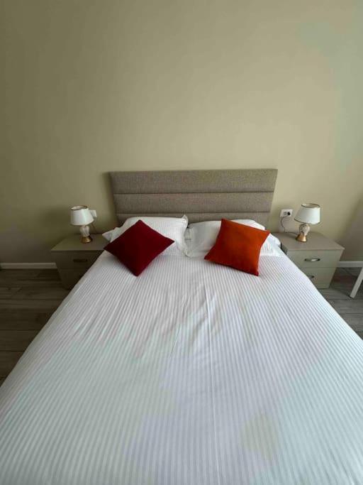 Cozy Flat Appartments in Tirana