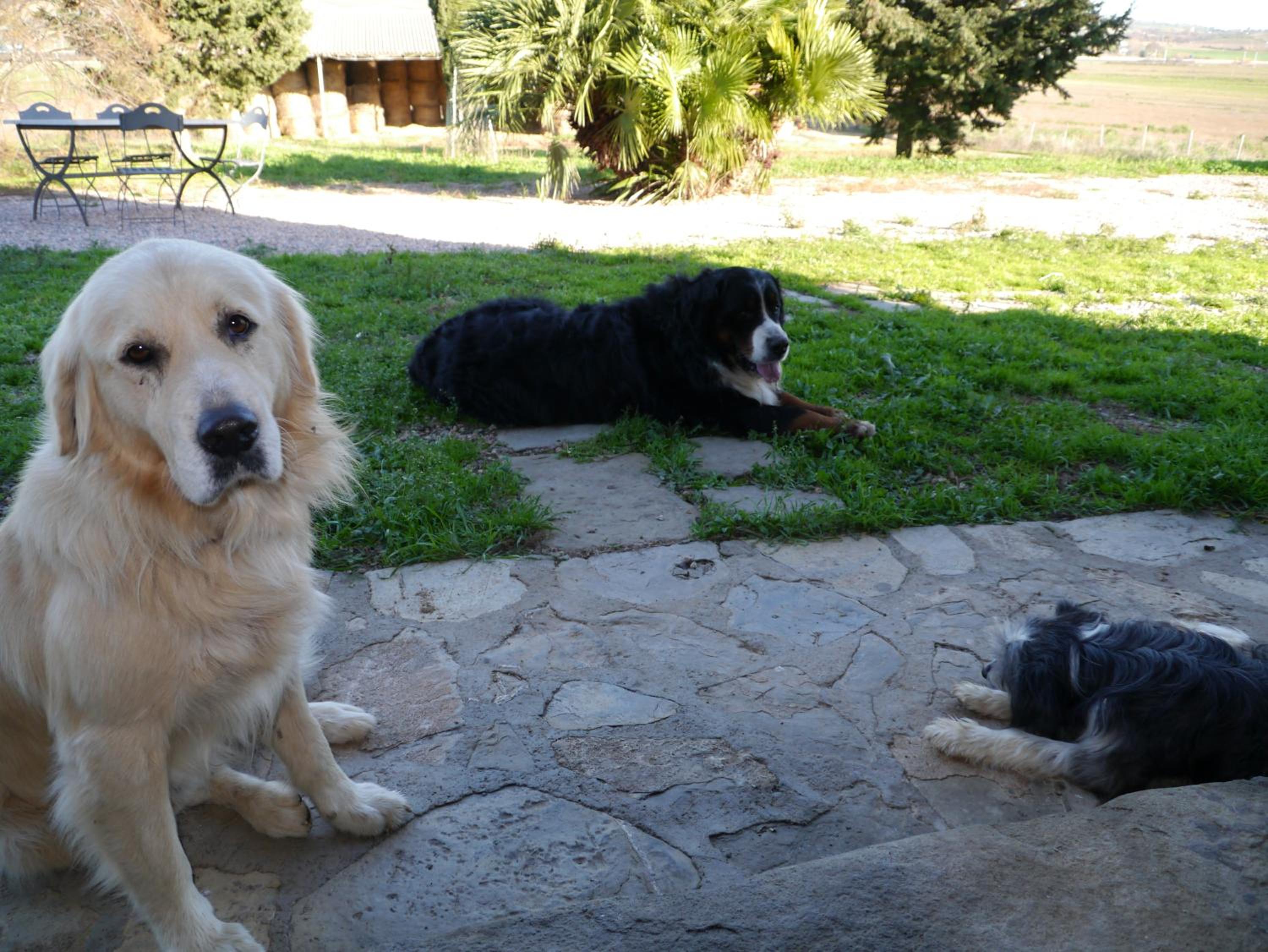 Agriturismo La Valentina Nuova