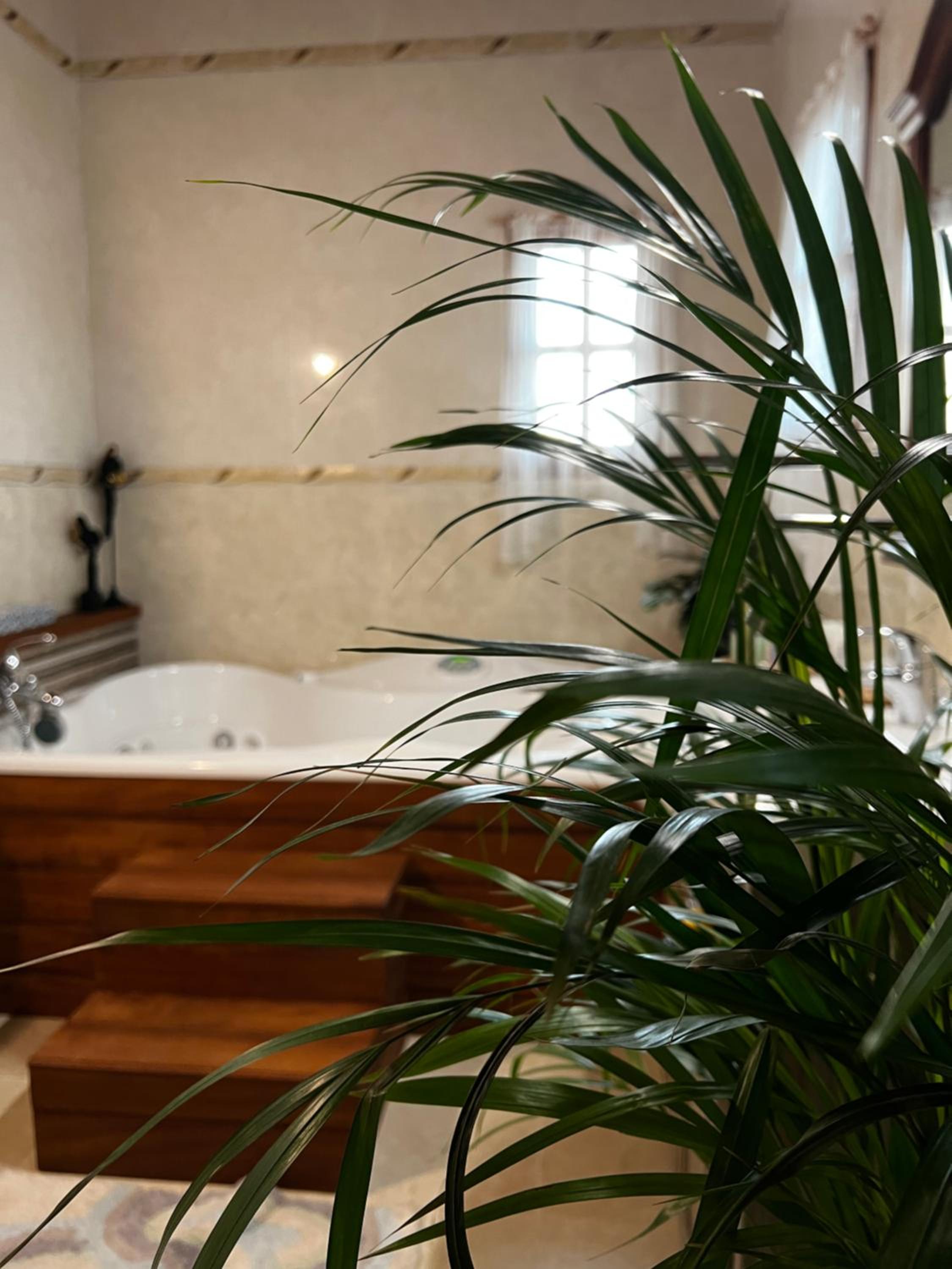 Florence Dreaming House