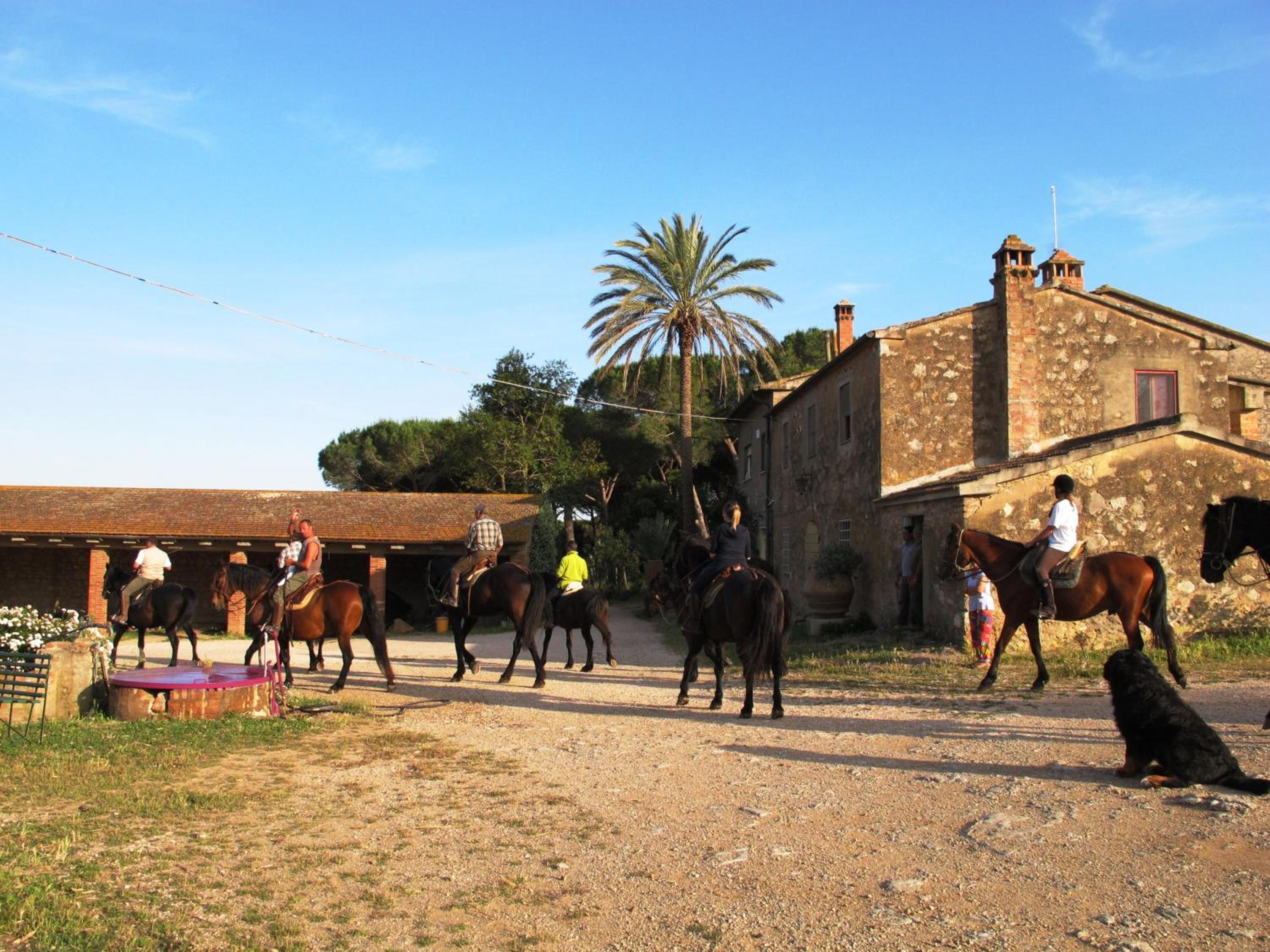 Agriturismo La Valentina Nuova
