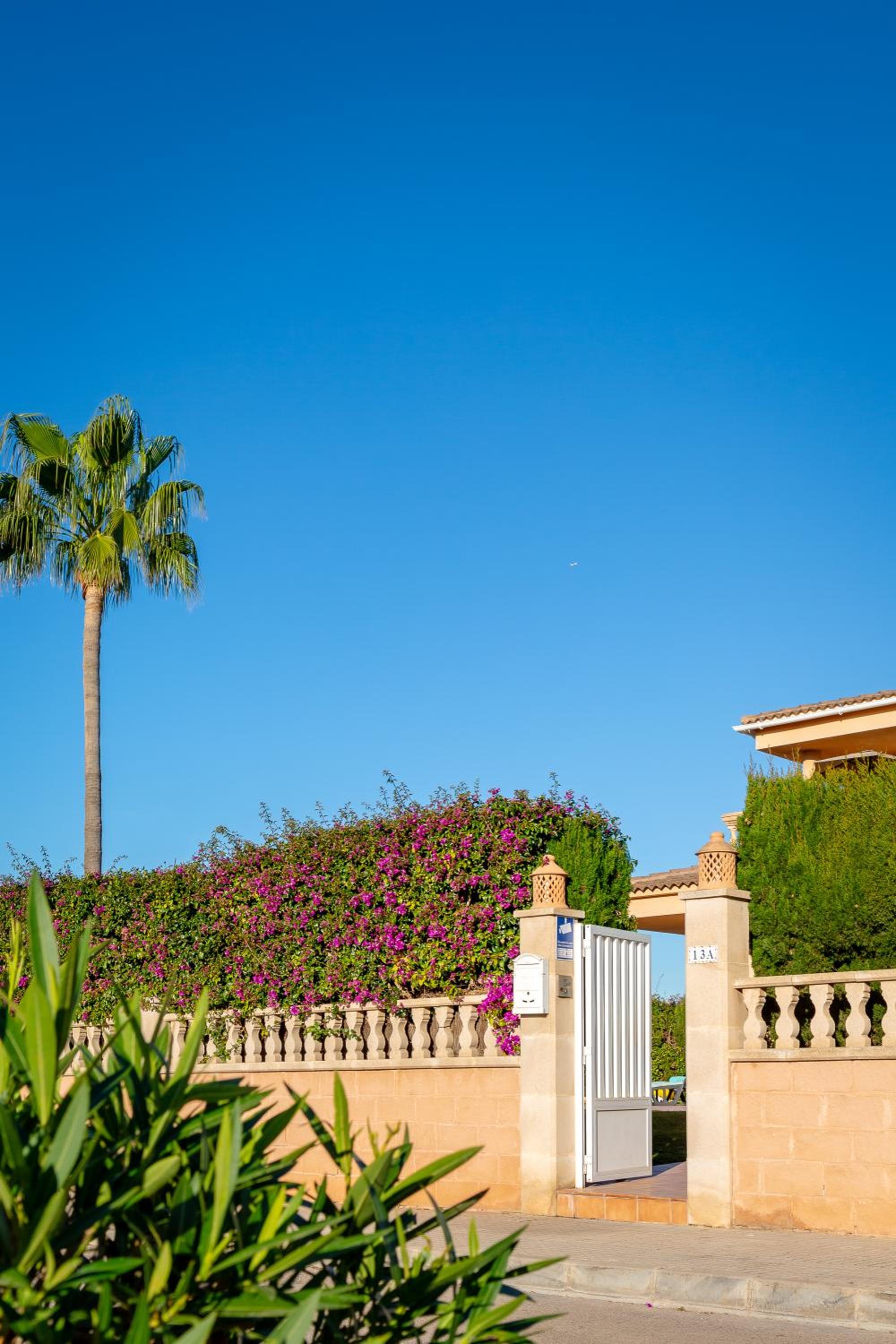 Villa Palmera