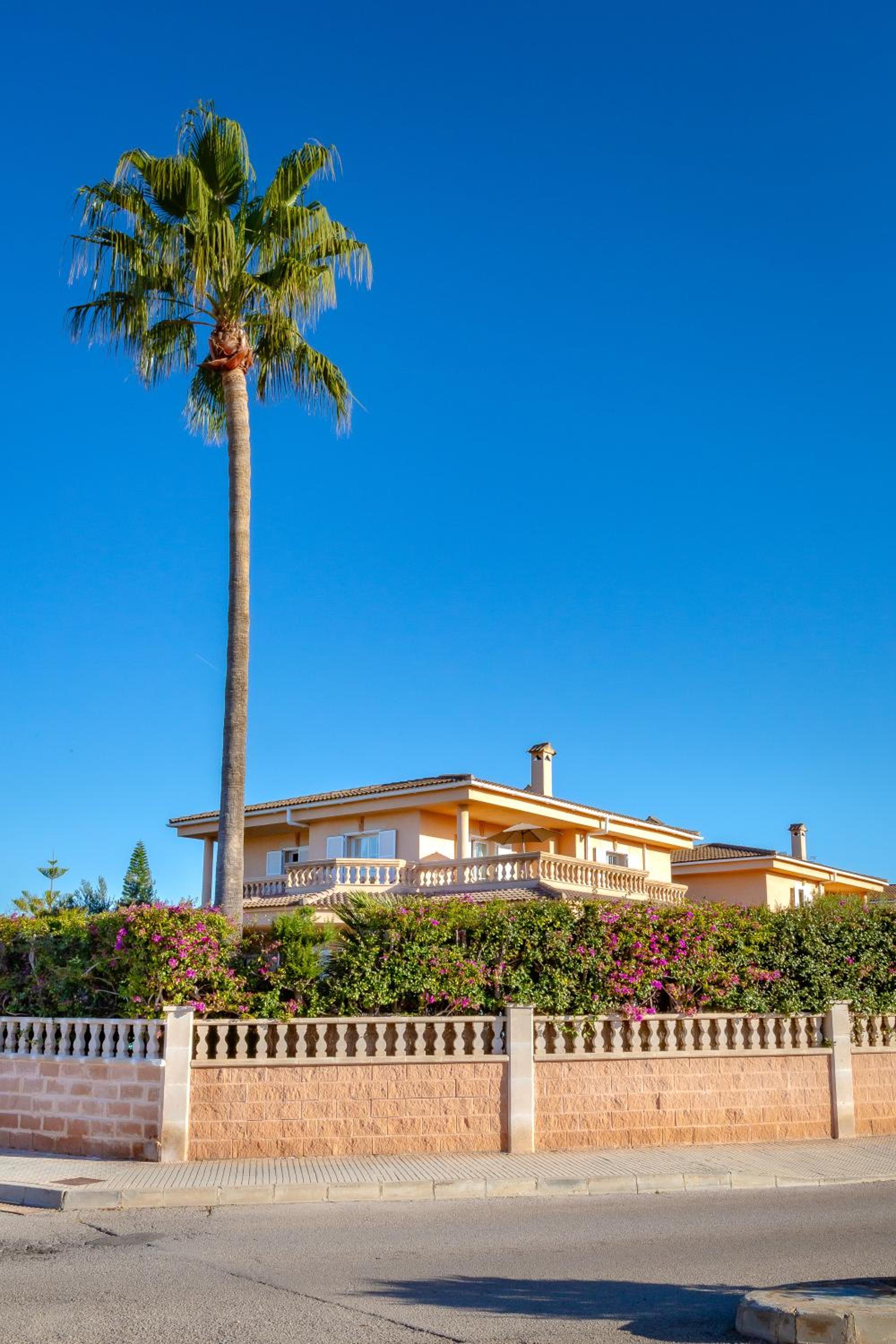 Villa Palmera