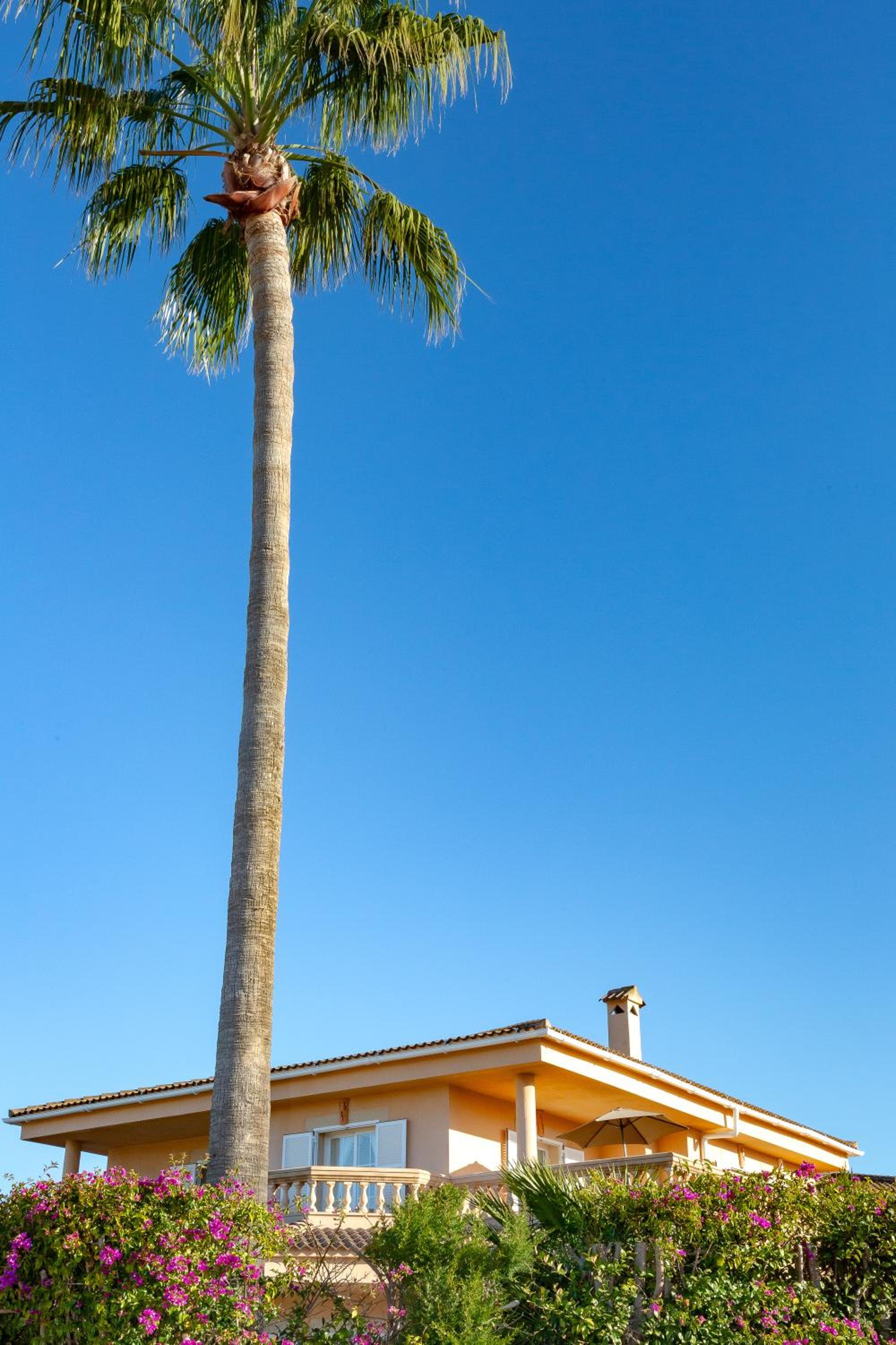 Villa Palmera